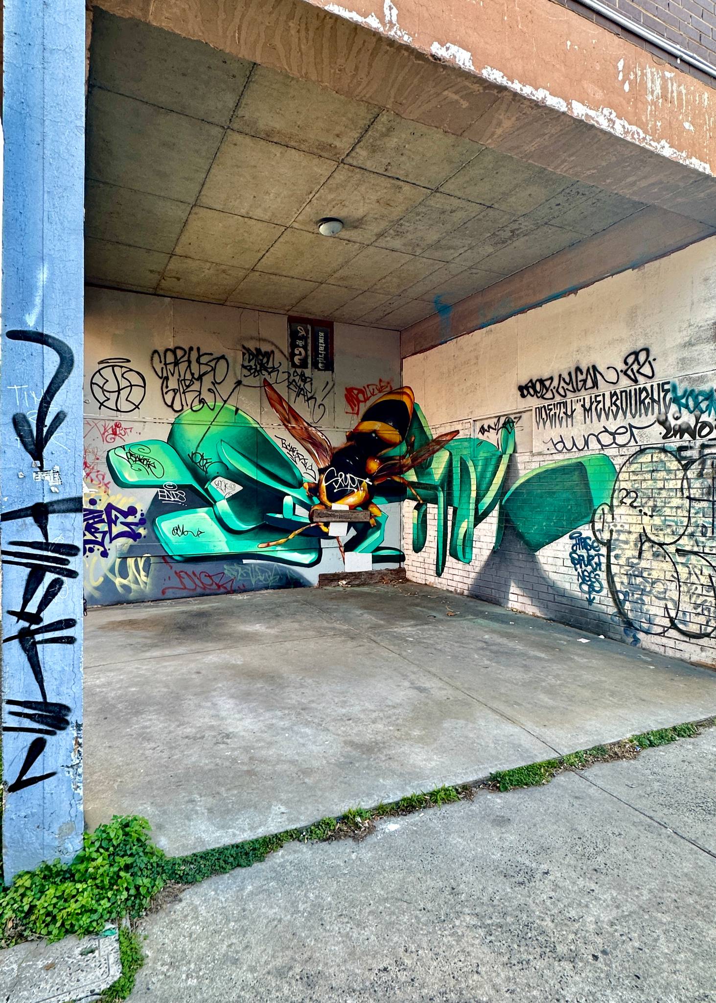 Odeith&mdash;Wasp- Melbourne