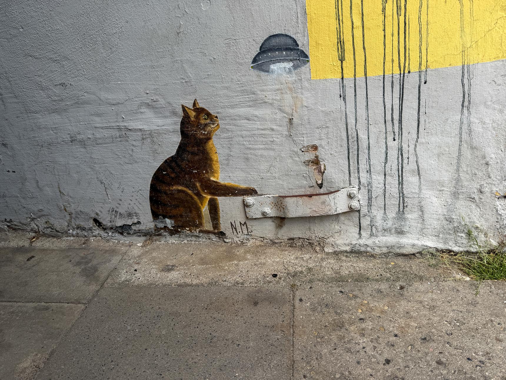 N.M.—Katze mit Ufo