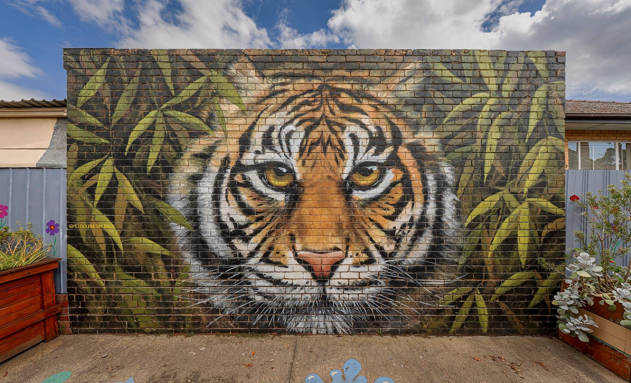 Melbourne's Murals&mdash;Rita's Way Tiger