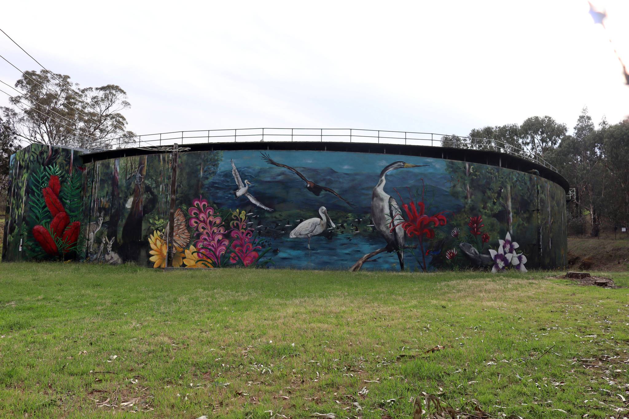 GraffikPaint, Pete Filmer&mdash;Narrabundah Reservoir