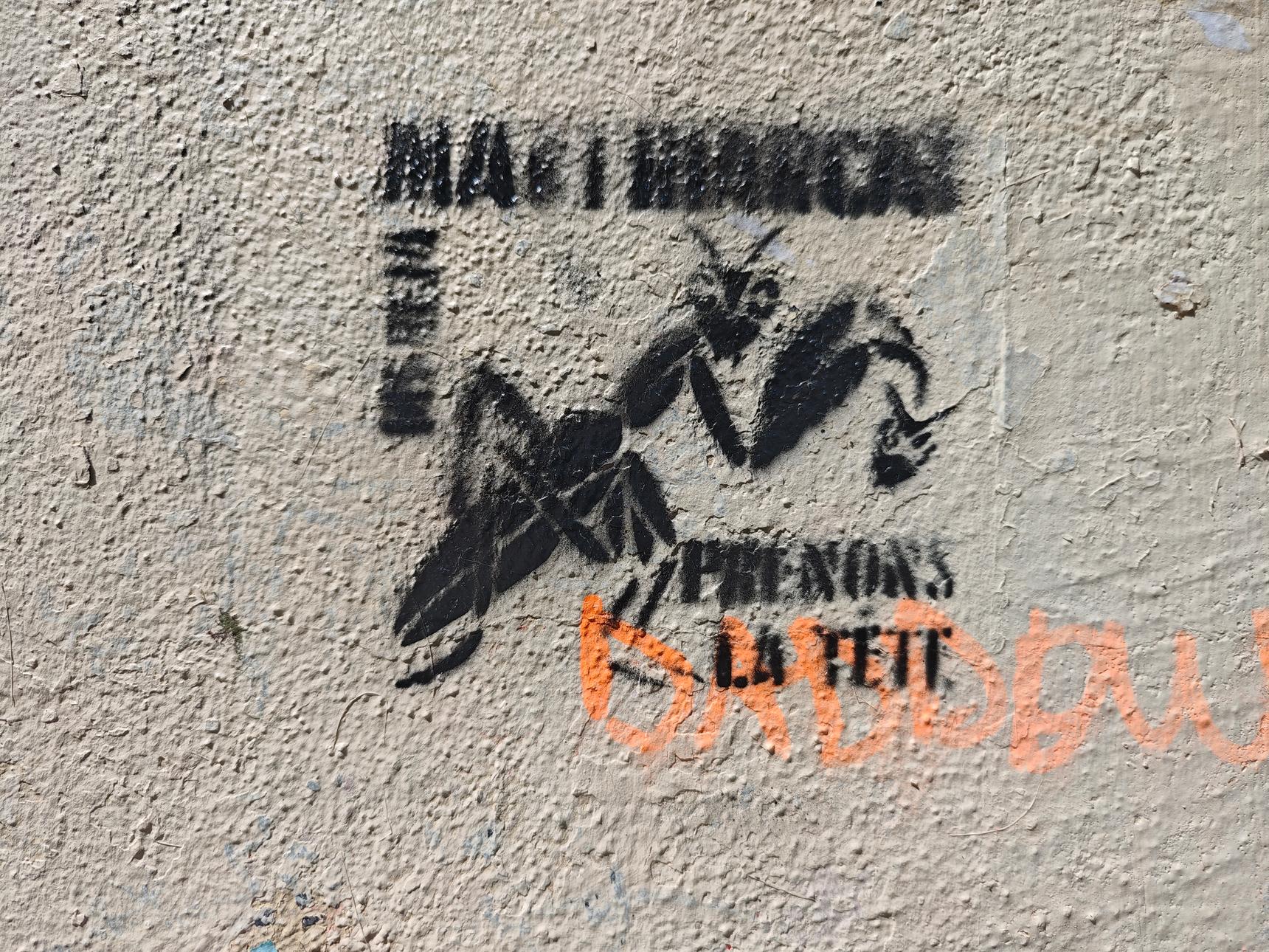 MS Béja—MANTRIARCAT...