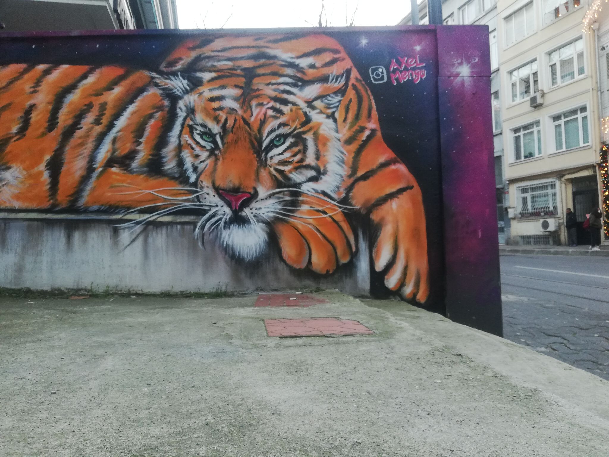 Axel Mengü&mdash;Tiger