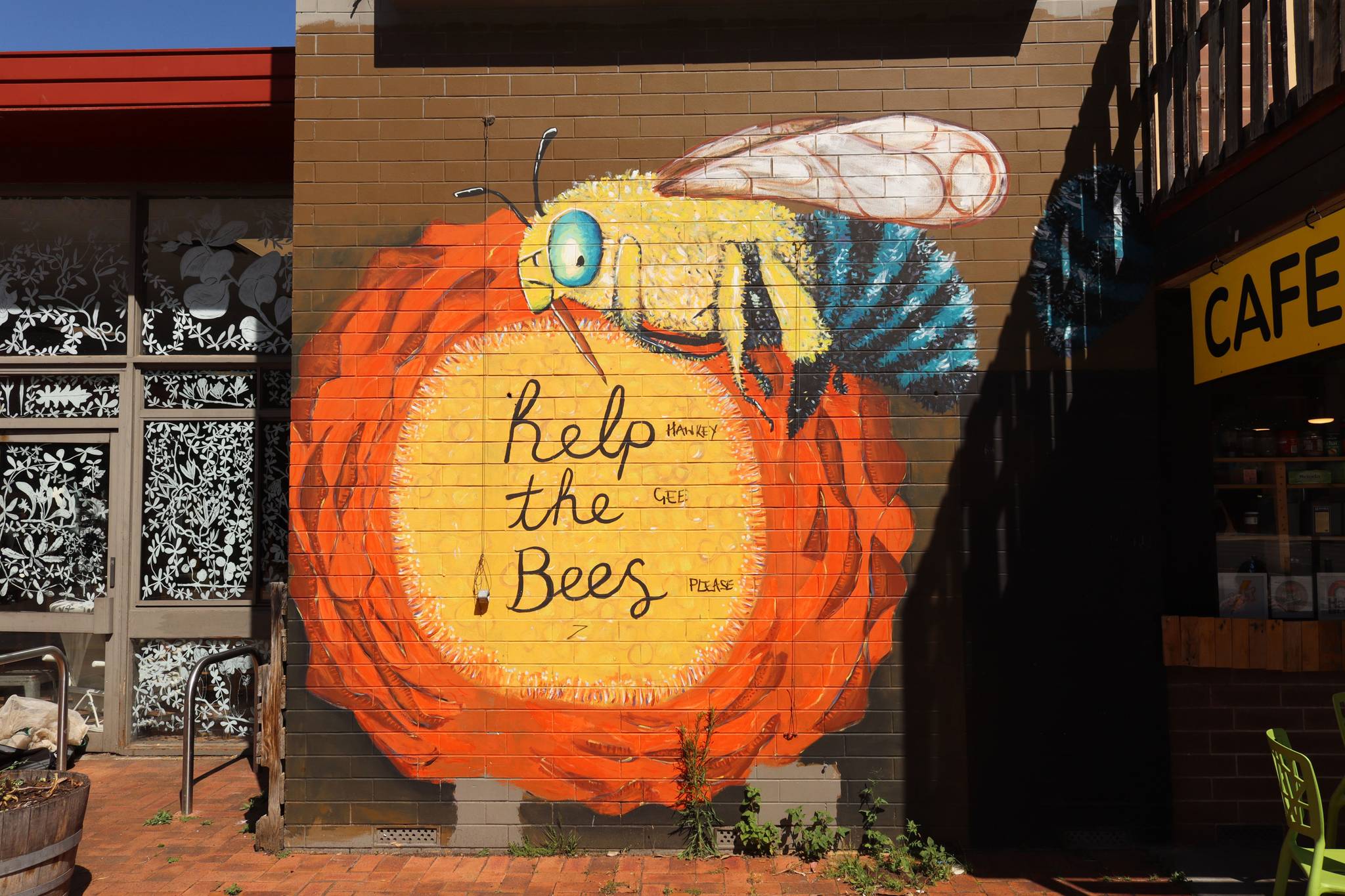 Tracey Davis&mdash;Help the Bees