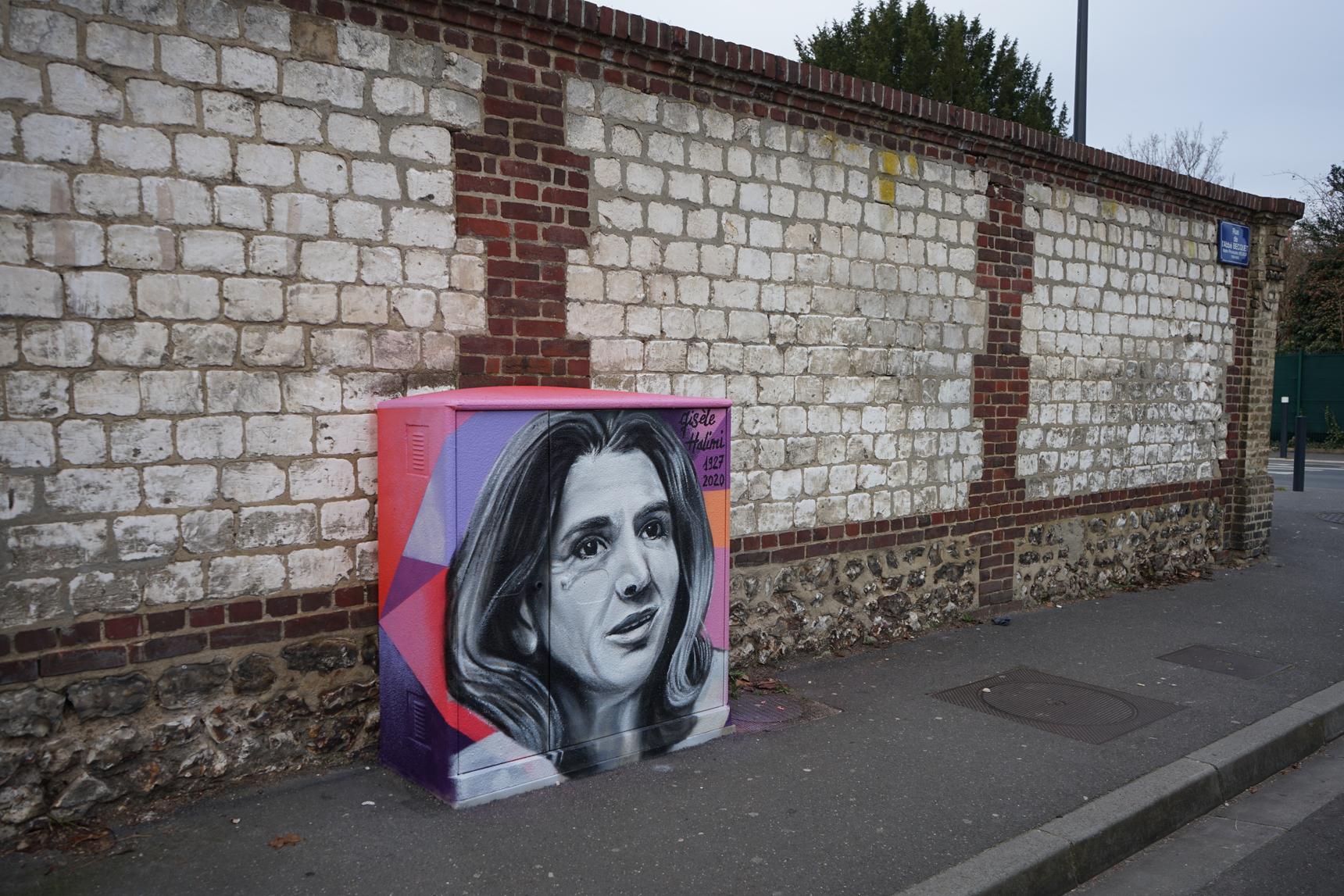 K2B Graff—Gisèle Halimi - série de femmes illustres