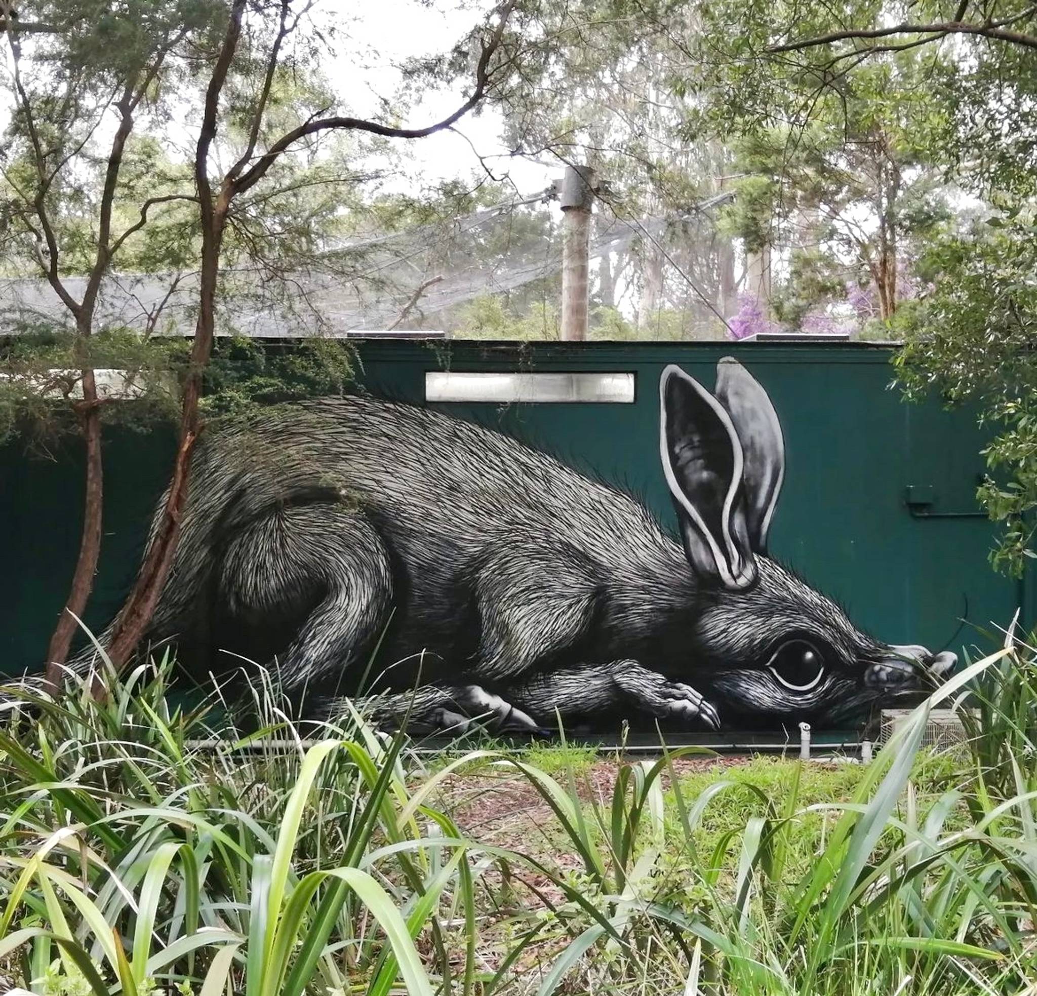 ROA&mdash;Bilby