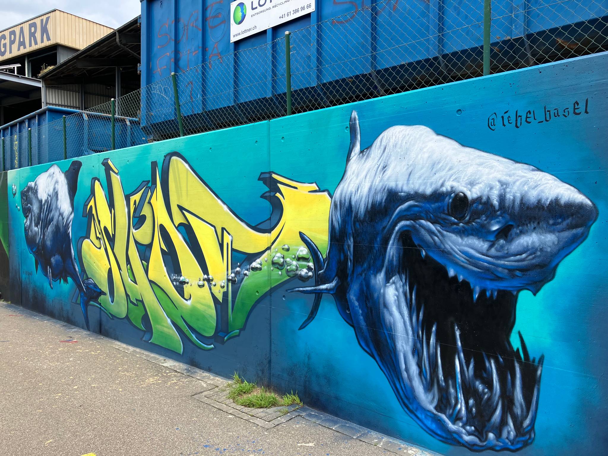 Rebel Basel&mdash;Sharks