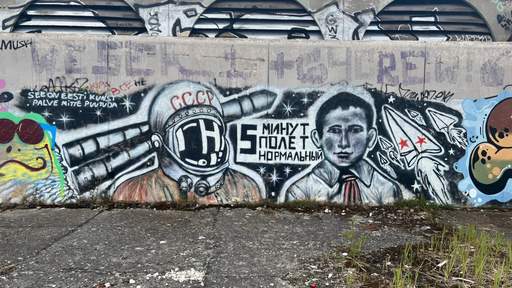 Feed item