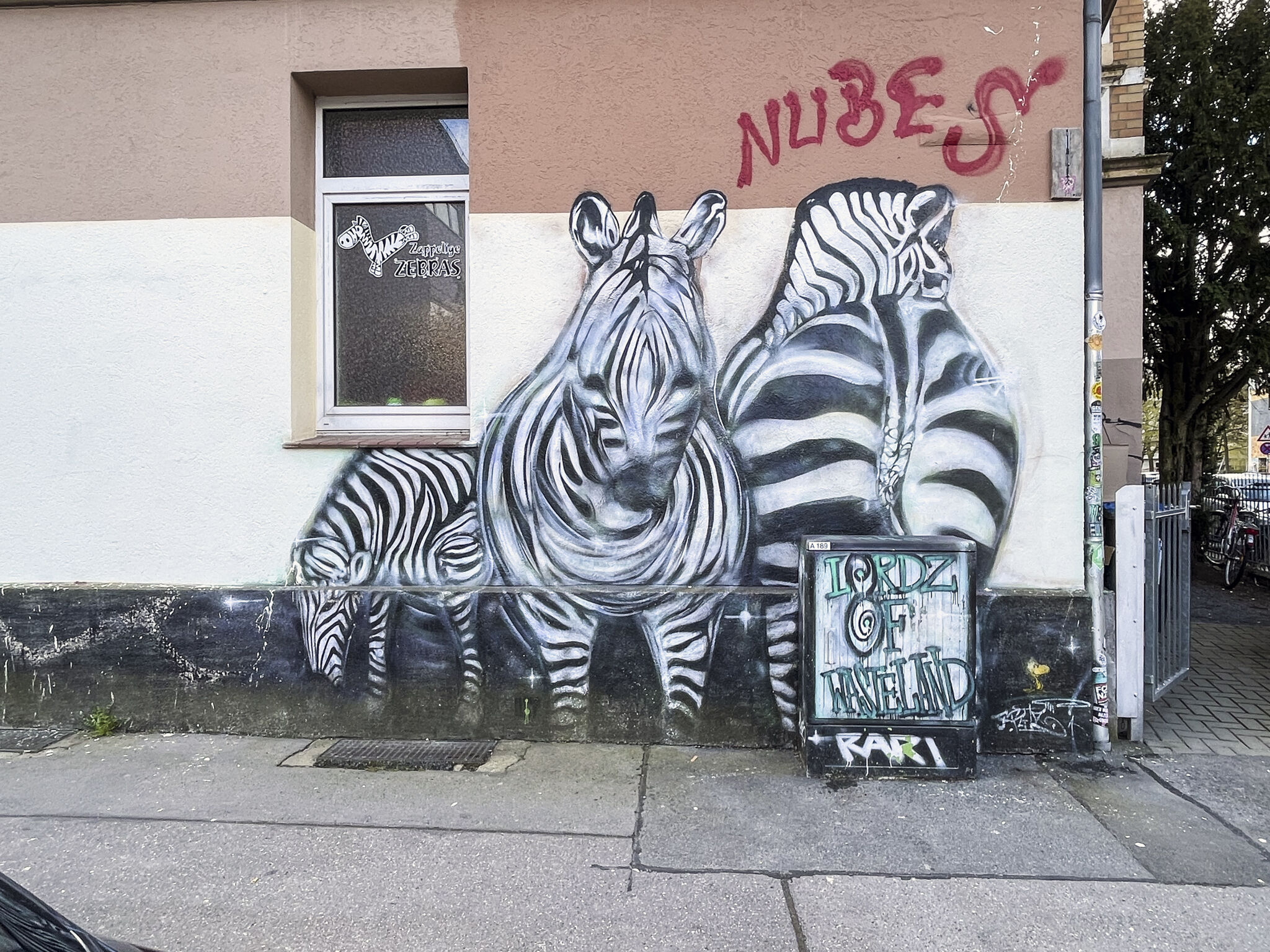 Unknown - Hannover&mdash;Zappelige Zebras