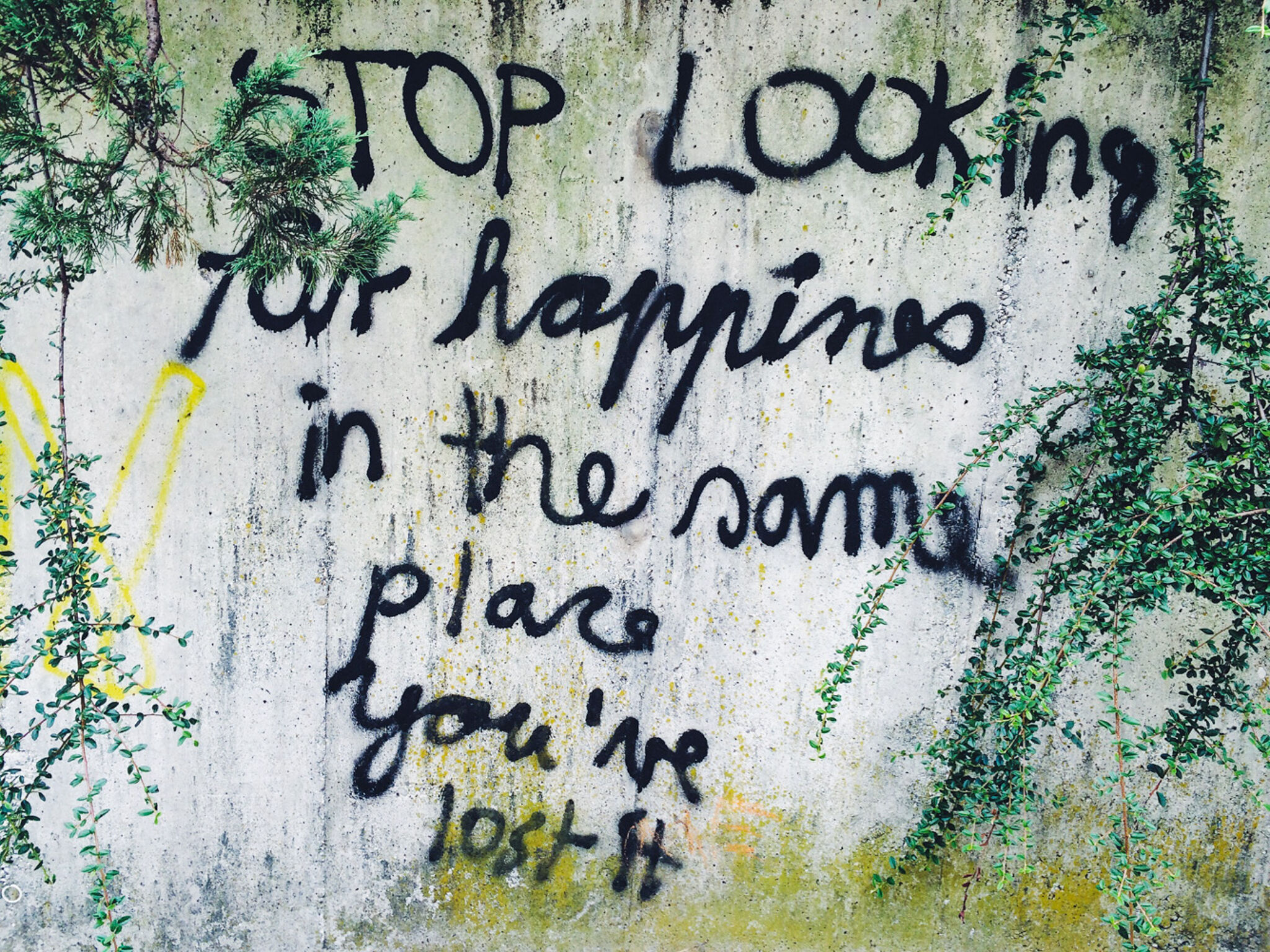 &mdash;Stop looking for happiness