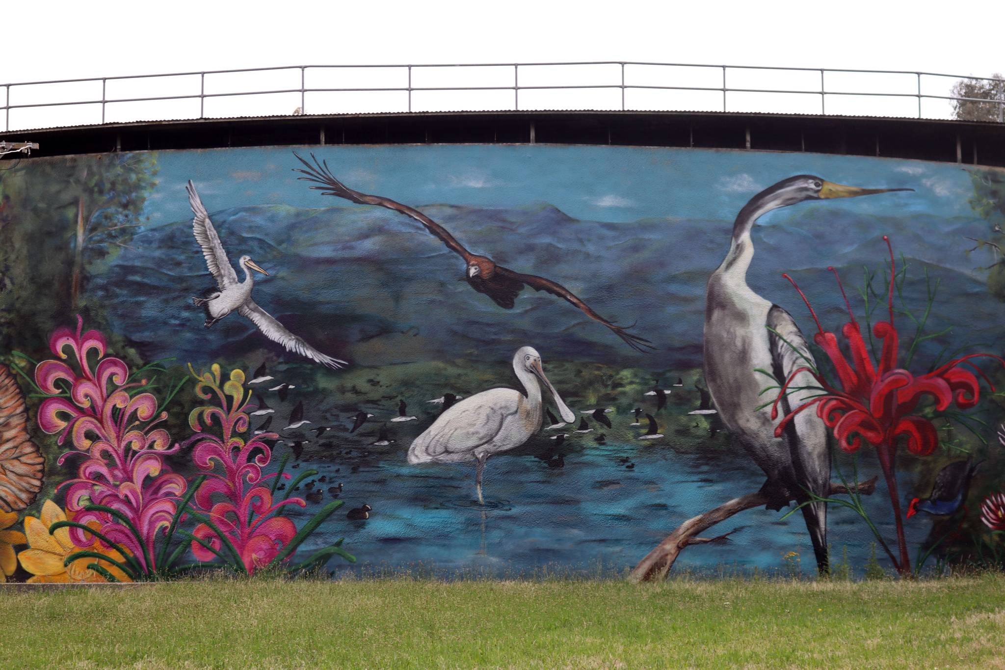 GraffikPaint, Pete Filmer&mdash;Narrabundah Reservoir