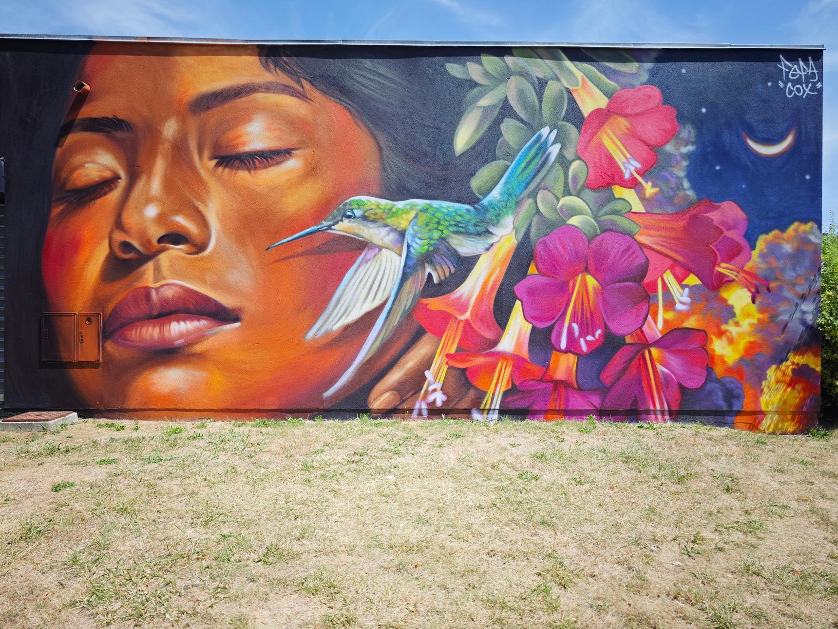 La Fefa Cox—Festival International Des Arts Urbains De Laon #5