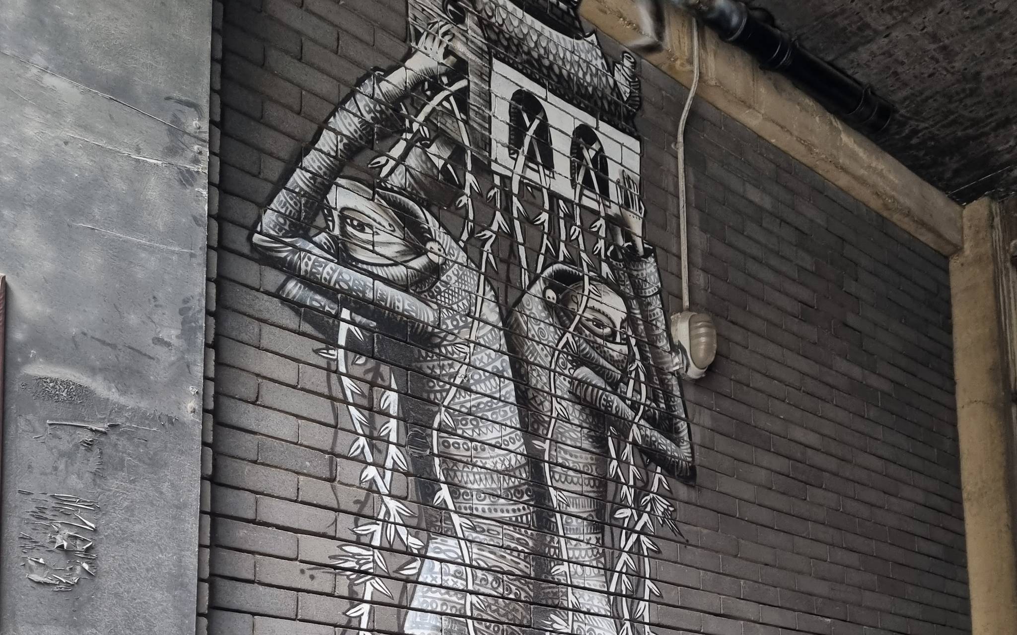 Phlegm&mdash;Vines