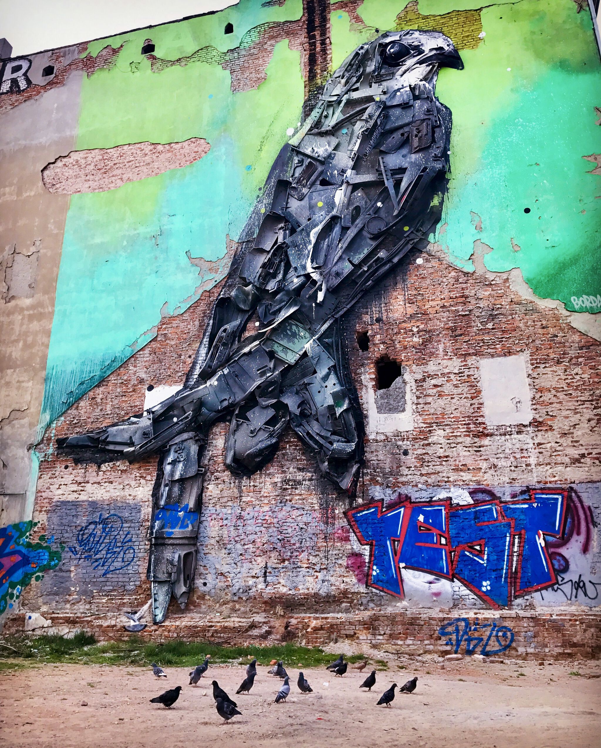 Bordalo ll&mdash;Apus