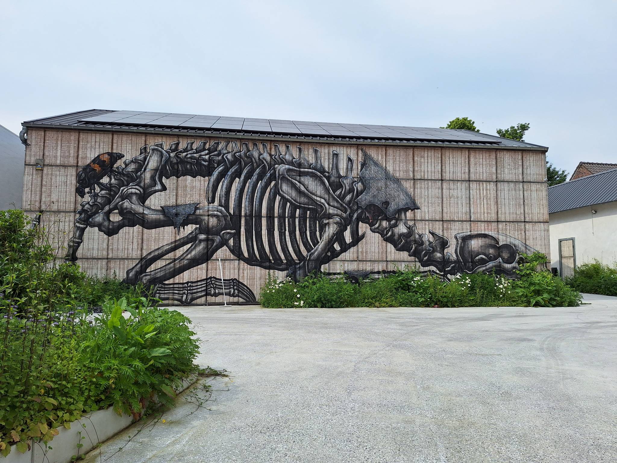 ROA&mdash;Skeleton of a badger