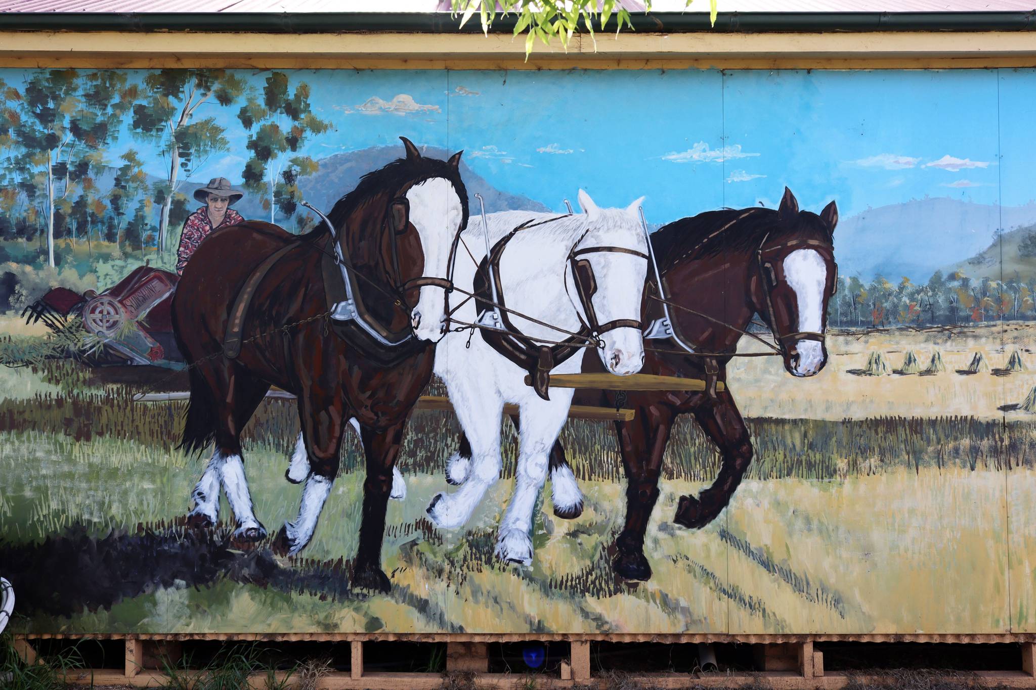 Les Quick, Ian Stewart-Koster, Carol Blackwook, Peter Crossman, Greg Chandler&mdash;Australian Draught Horses & Braveheart