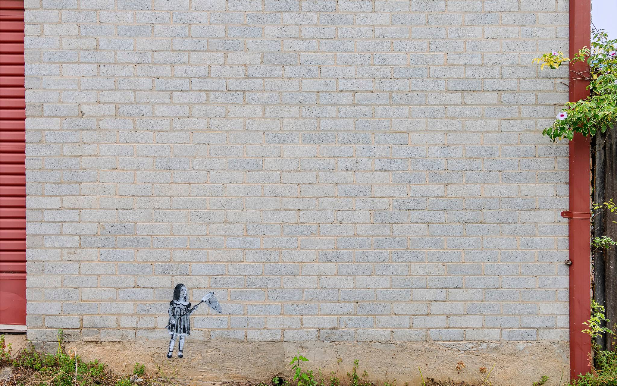 Tom Whitty&mdash;Butterfly Hunter