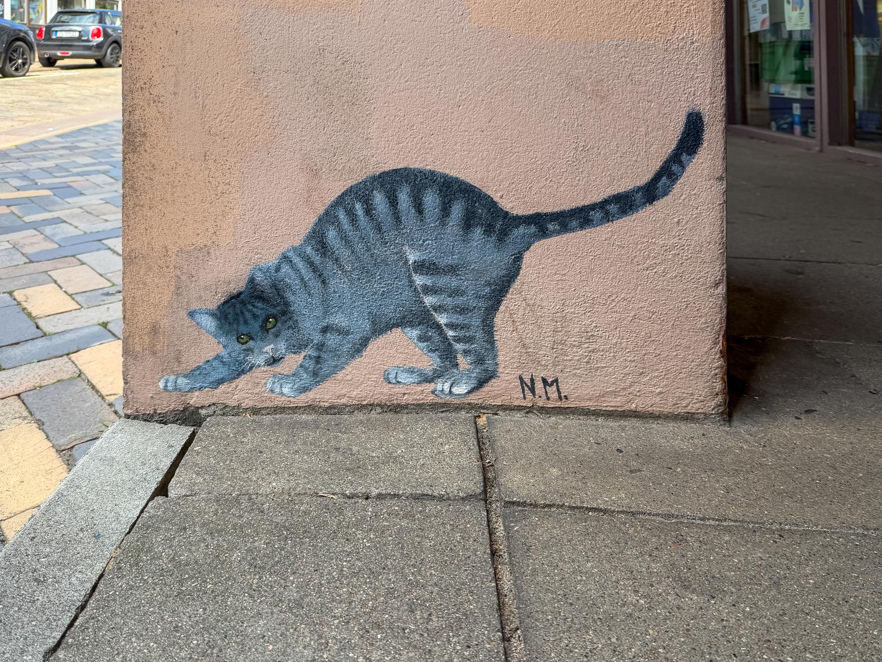 N.M.—Getigerte Katze