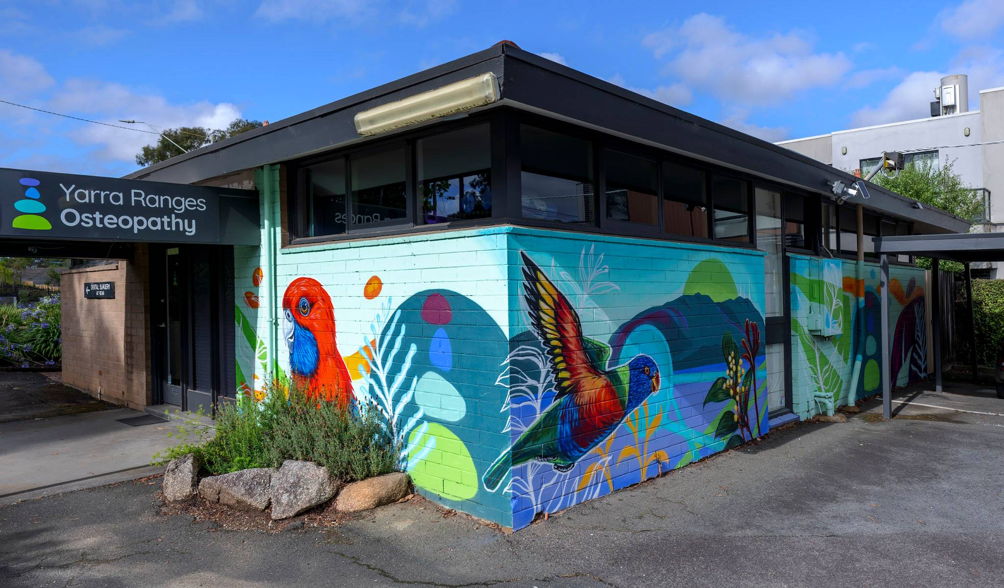 Damian Cazaly&mdash;Crimson Rosella / Rainbow Lorikeet