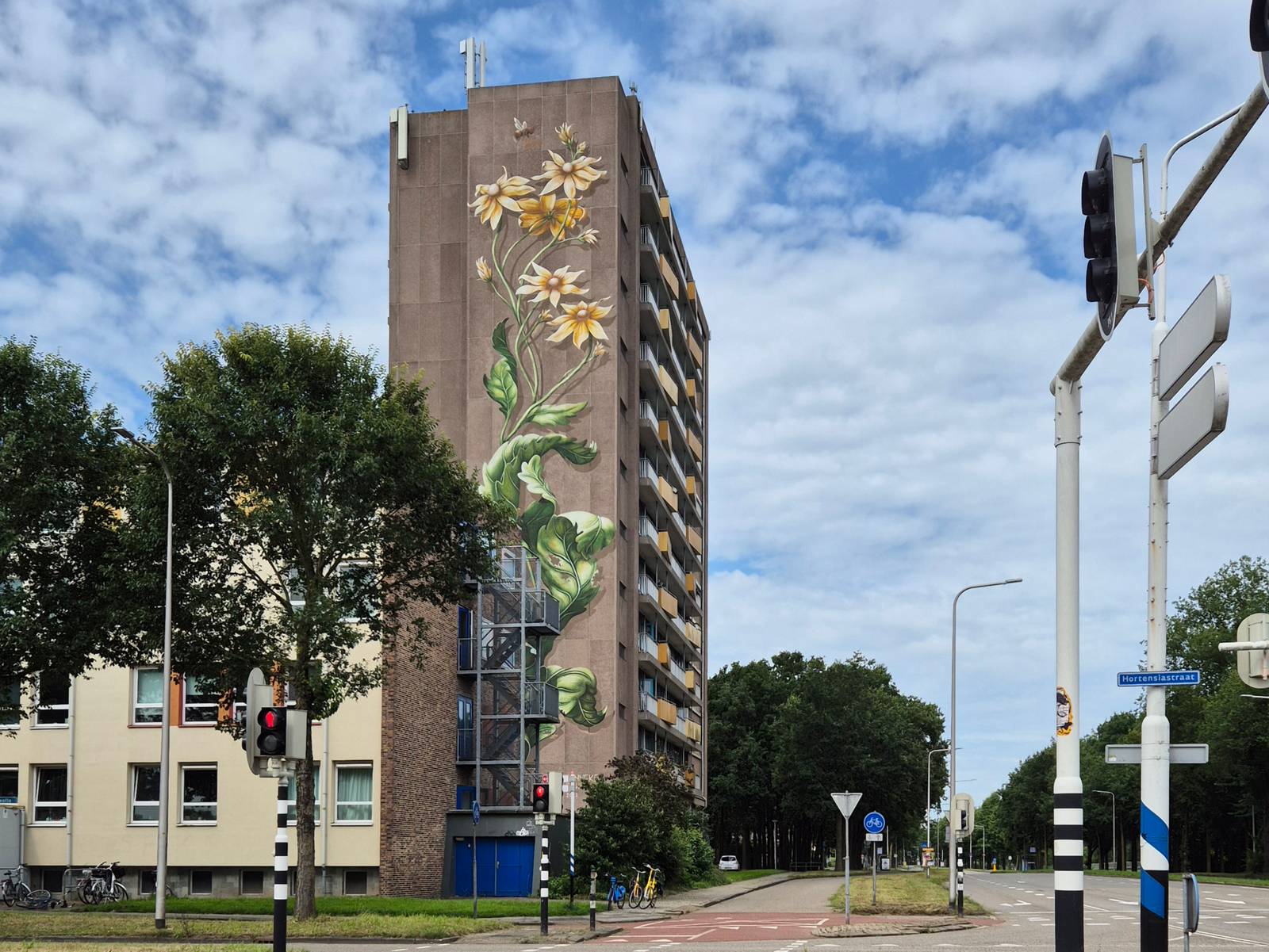 Lonneke van Zutphen—undefined