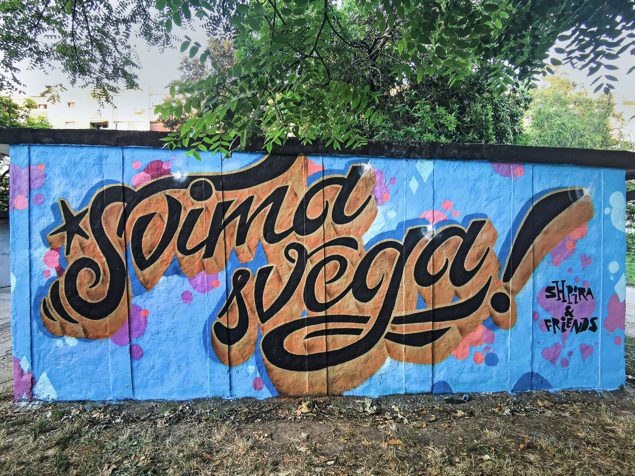 Shpira&mdash;Svima Svega