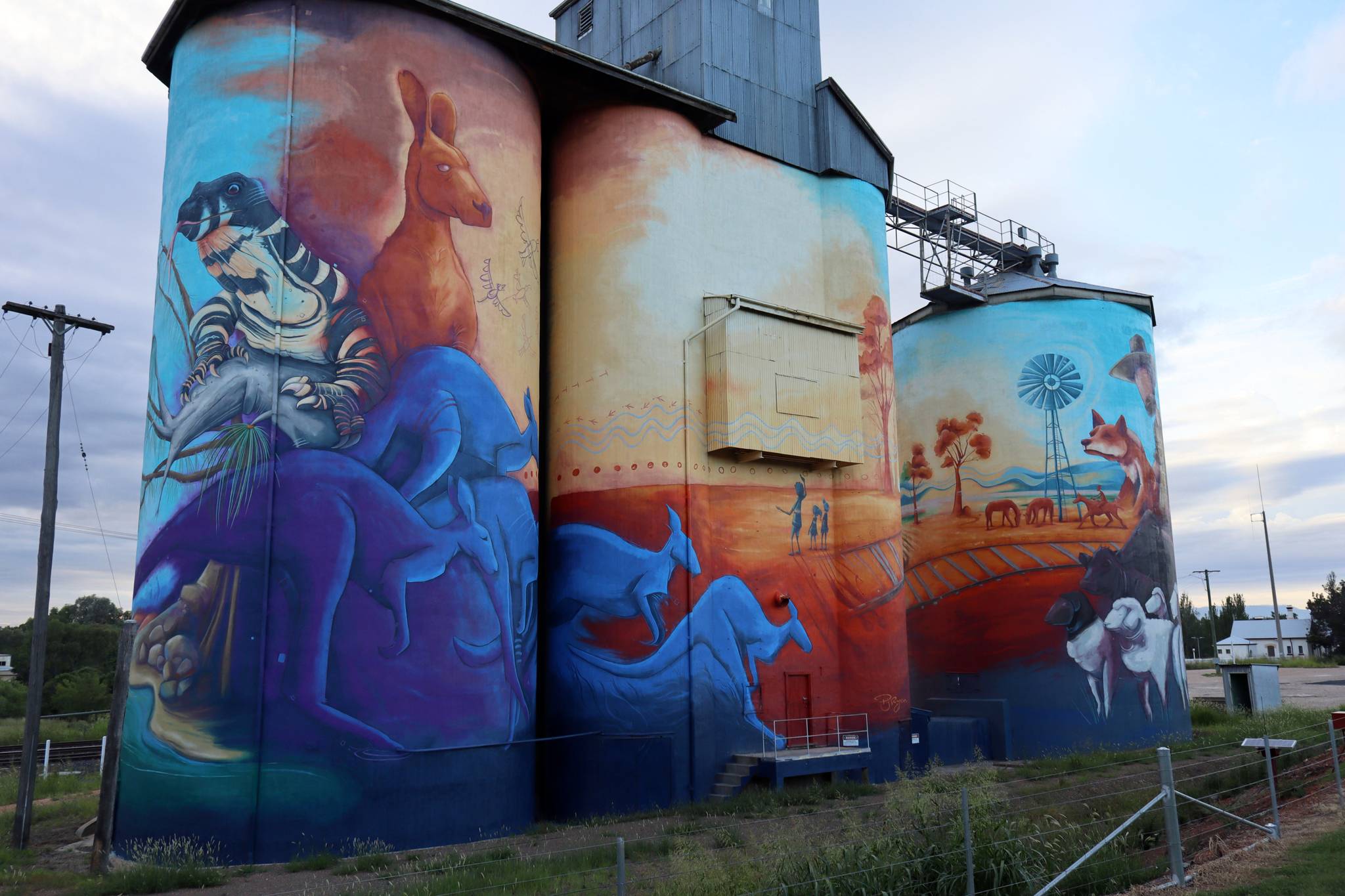 Peter Ryan&mdash;Quirindi Silo Art