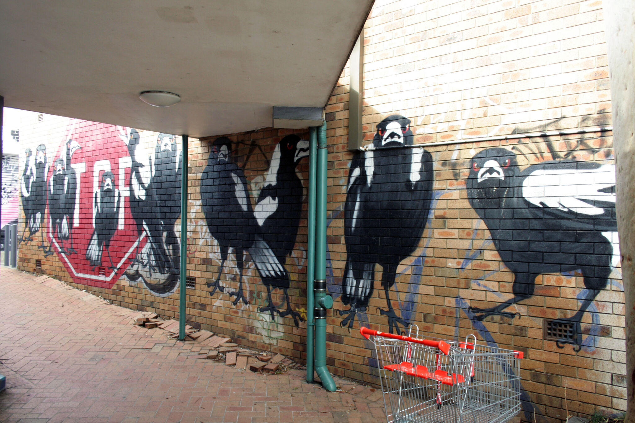 Karen Farmer&mdash;Magpies