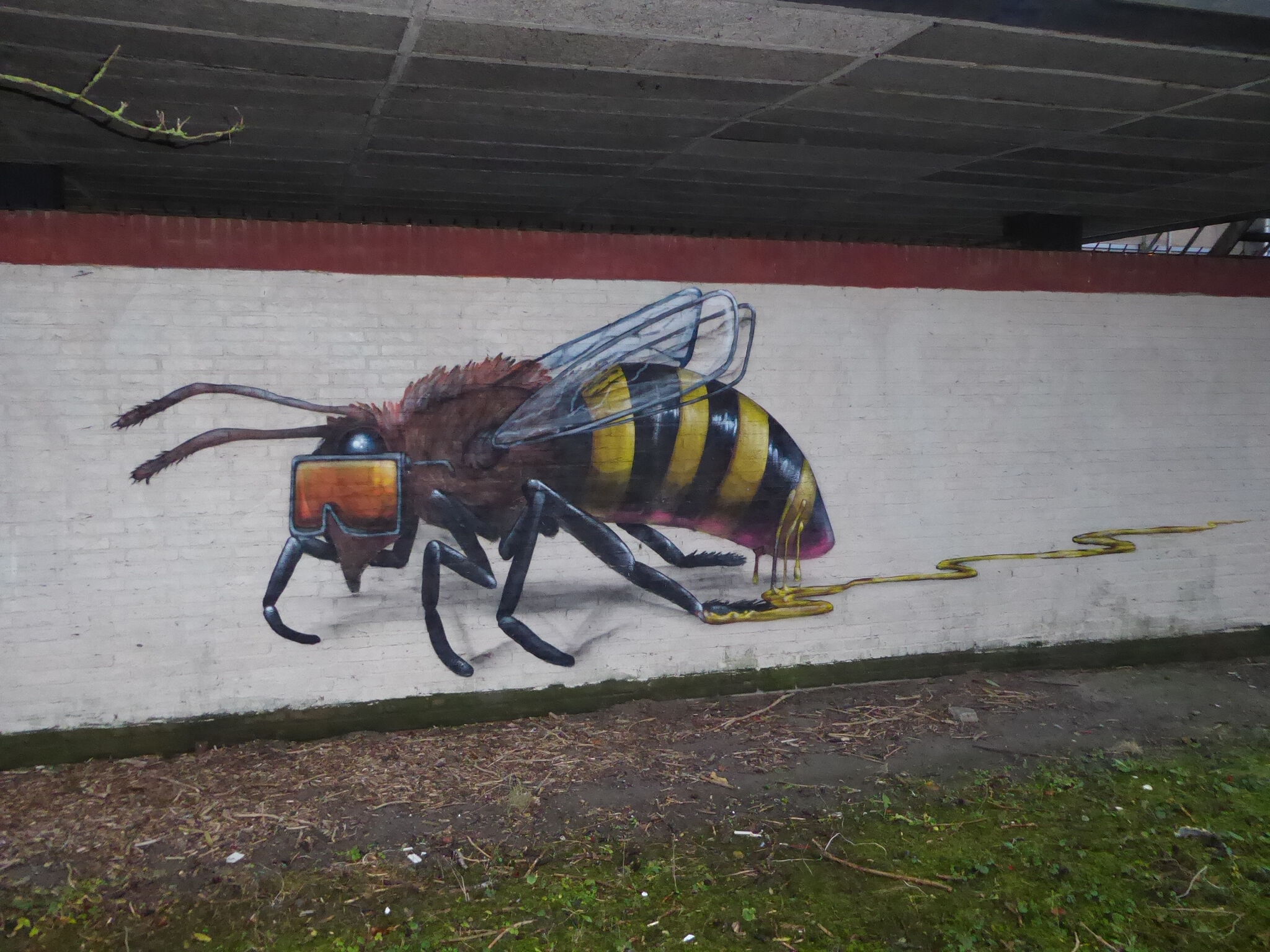 Harke Broersma&mdash;Bee