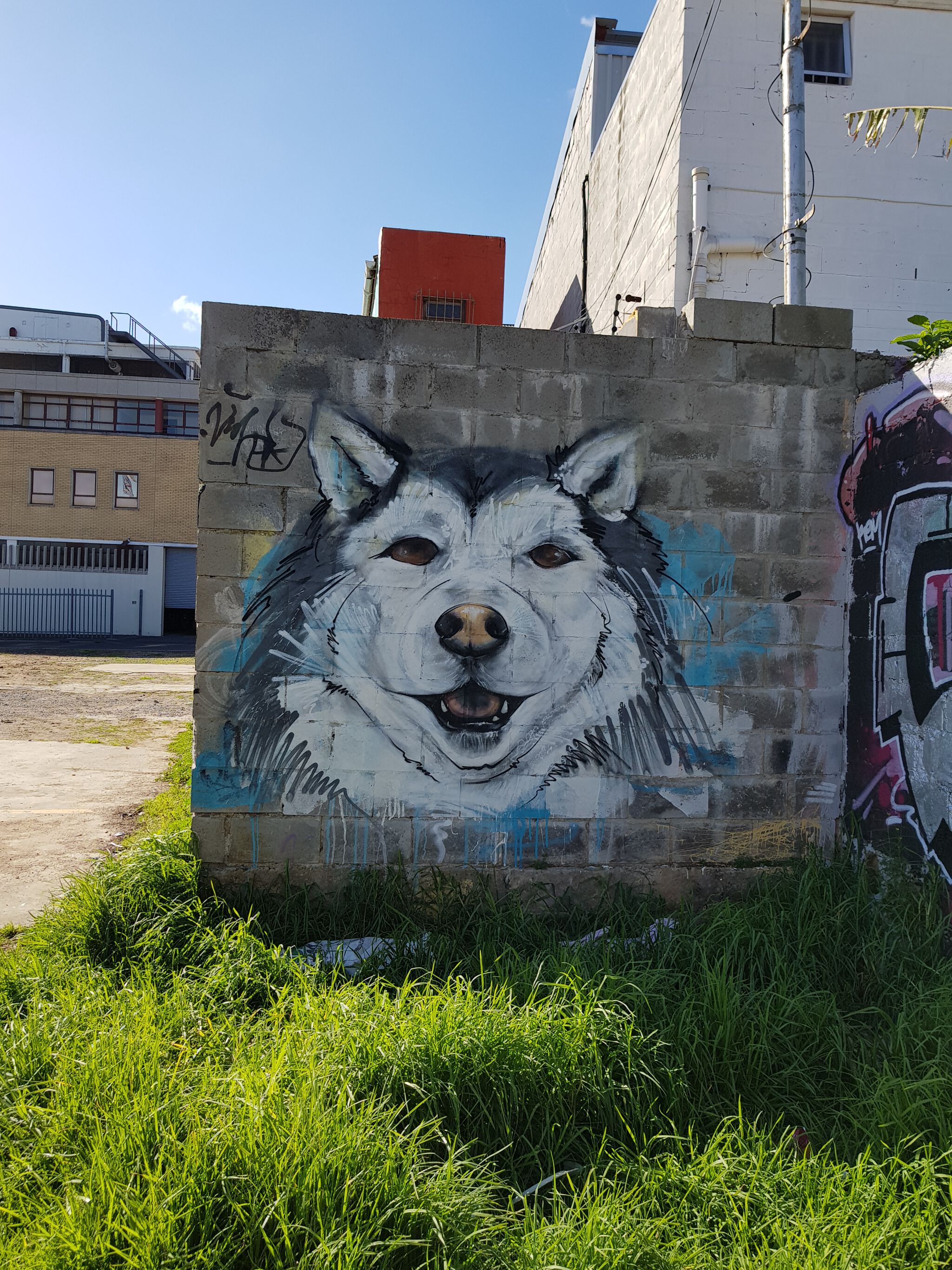 Unknown - Cape Town&mdash;Woodstock Wolf
