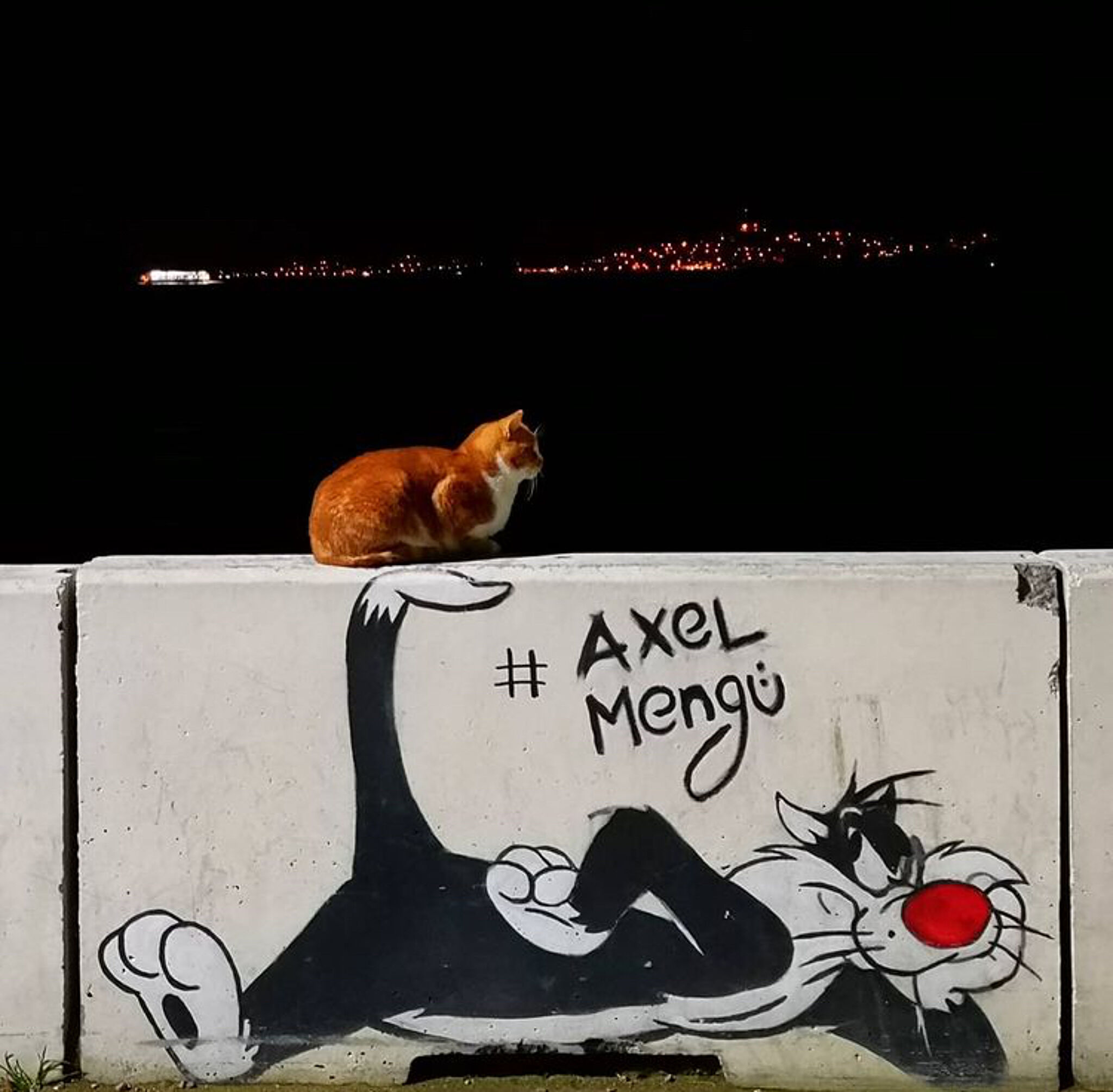 Axel Mengü&mdash;Sylvester