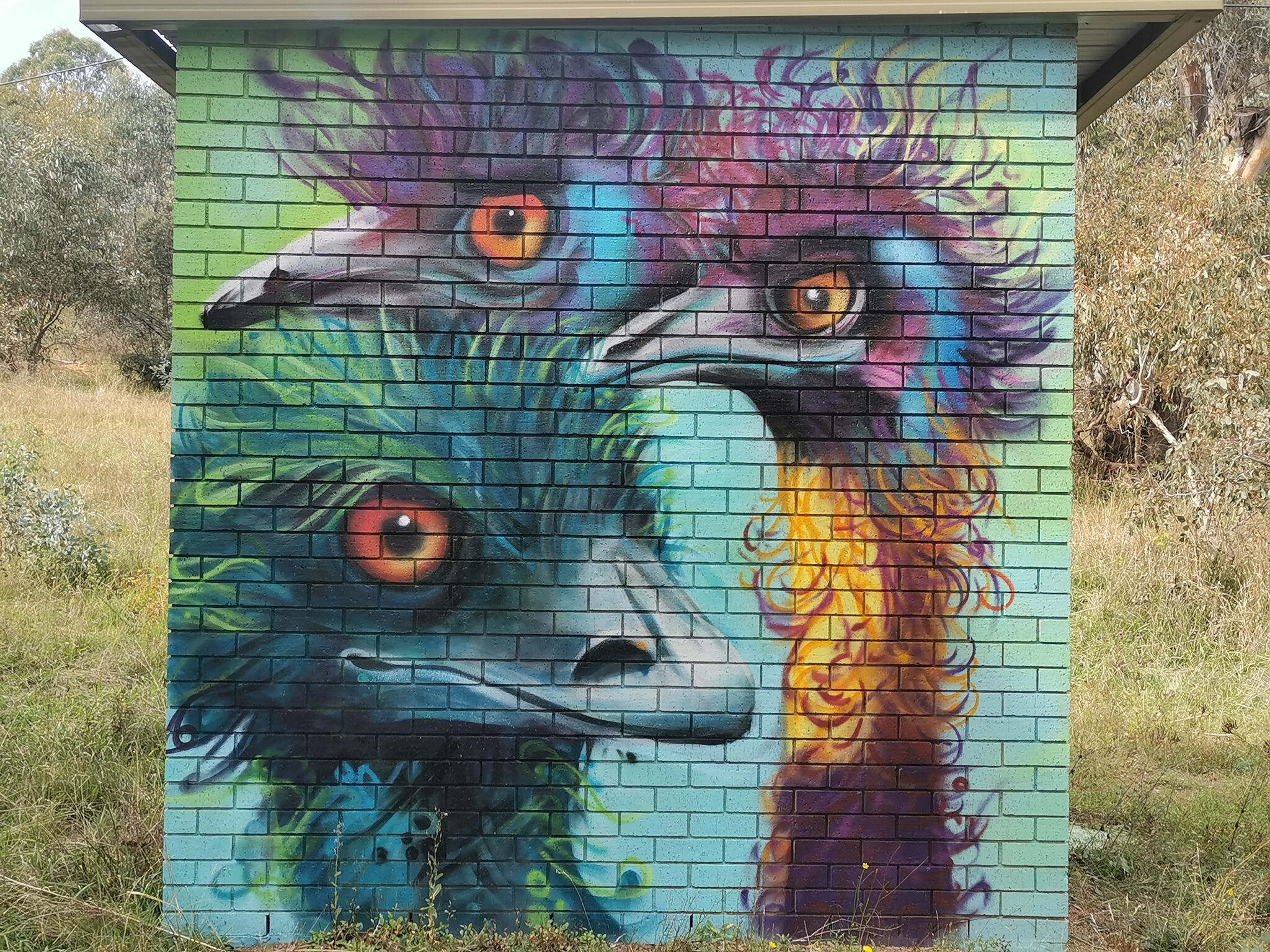 GraffikPaint, Leigh Walker&mdash;Emus