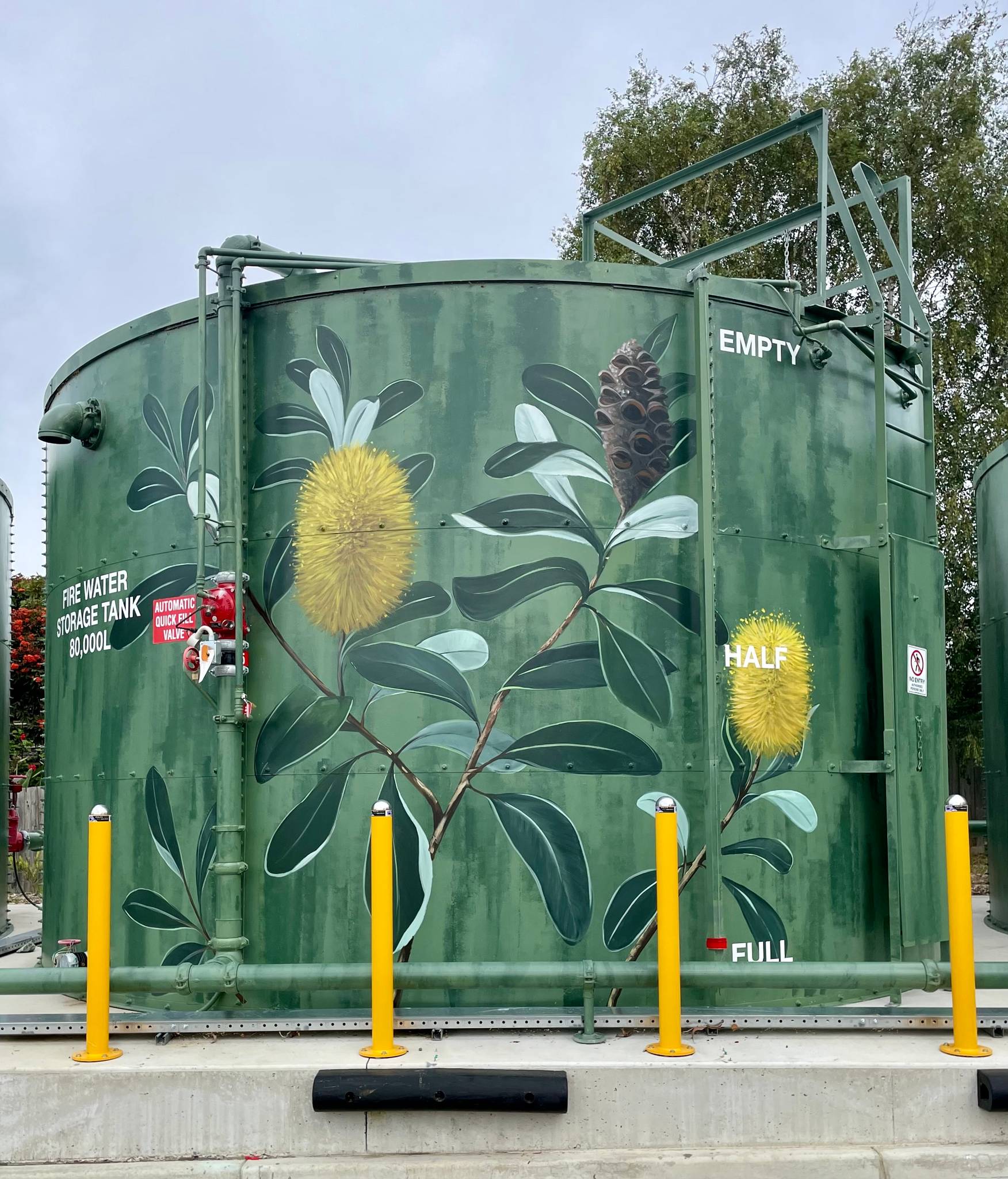 Melbourne's Murals&mdash;Coastal Banksia