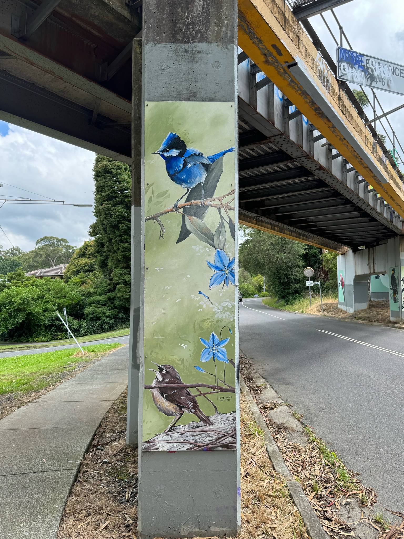 Jacob Arnold&mdash;Splendid Fairy Wren / Grey Fantail