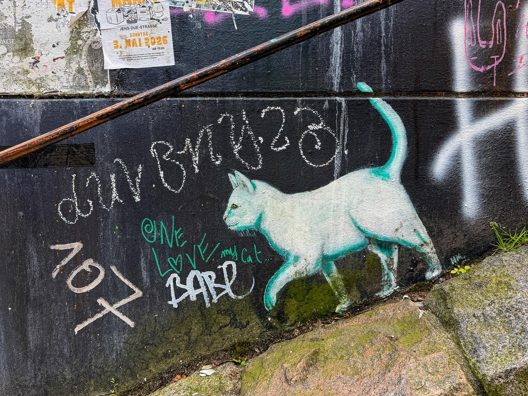 N.M.—Weiße Katze
