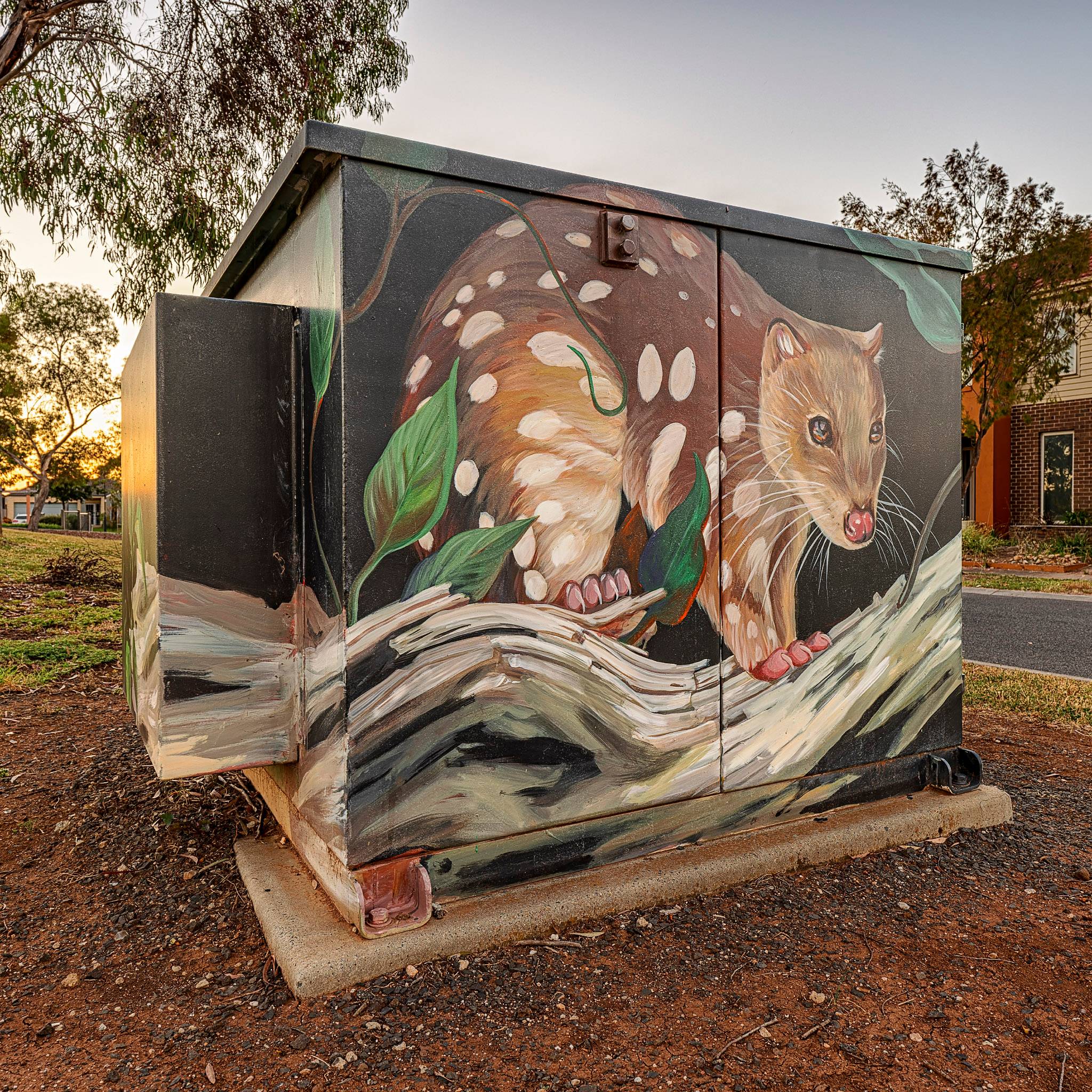 David Lee Pereira&mdash;Spotted Quoll