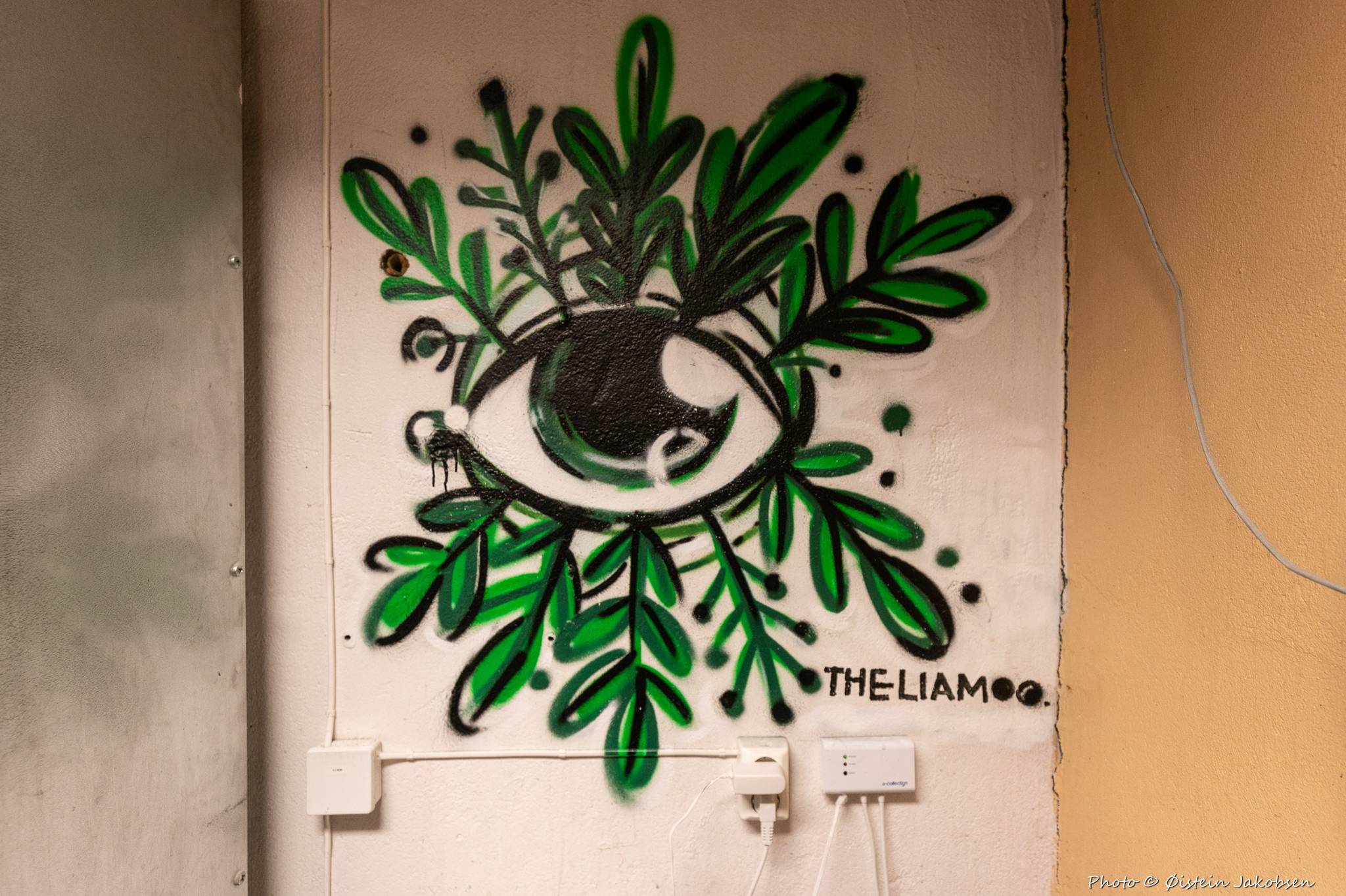 The LIAMOO&mdash;Eye Green