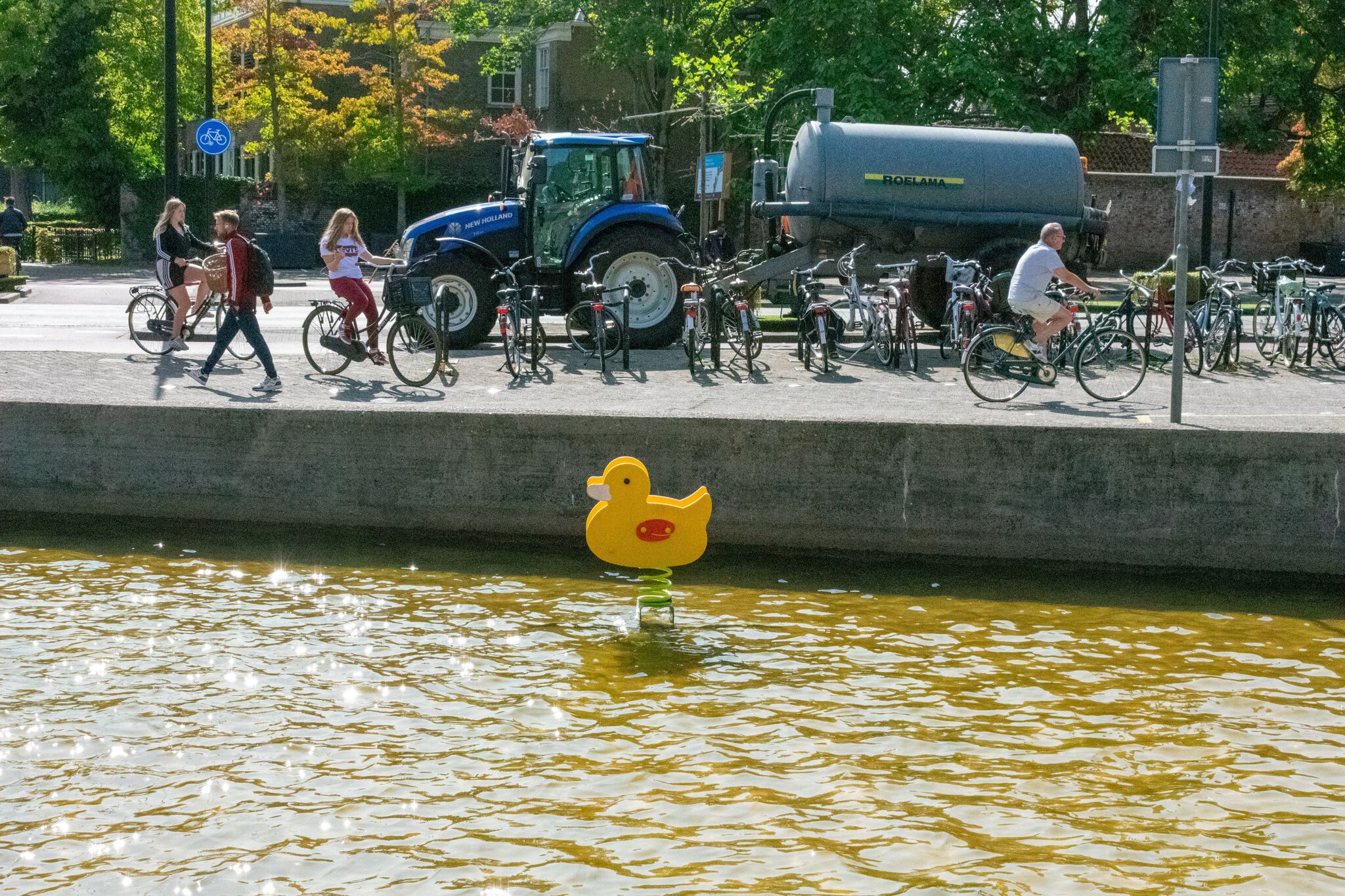 Frankey&mdash;Fountain Duck Ride