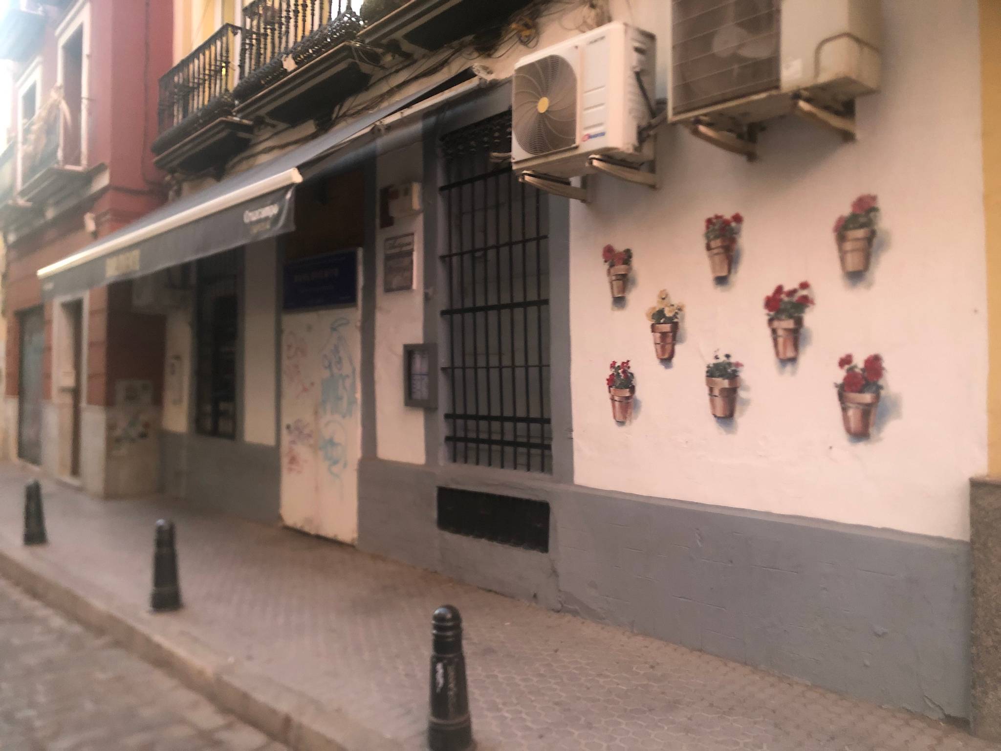 Unknown - Sevilla&mdash;Plantas