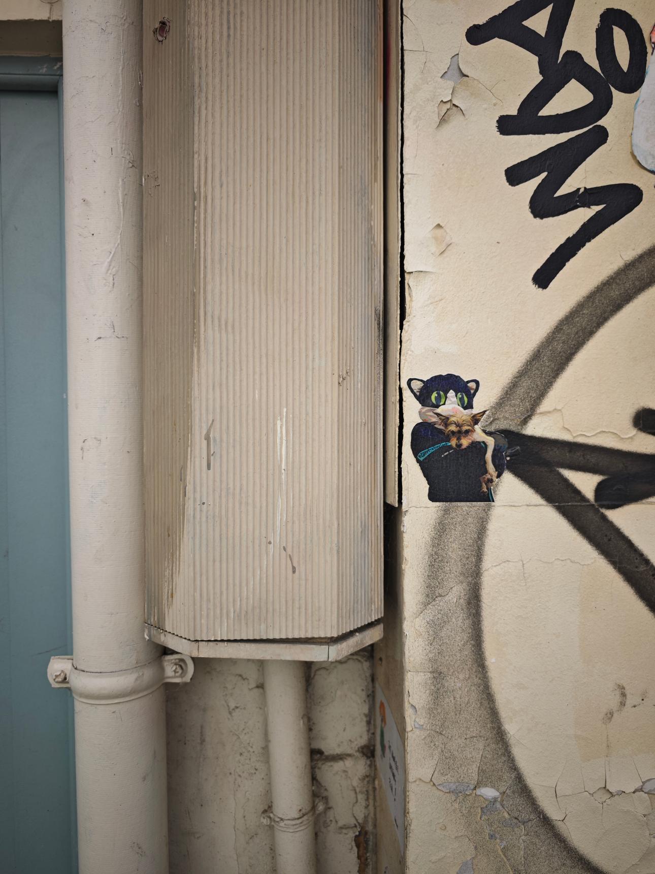 Tweet—Cat in Paris