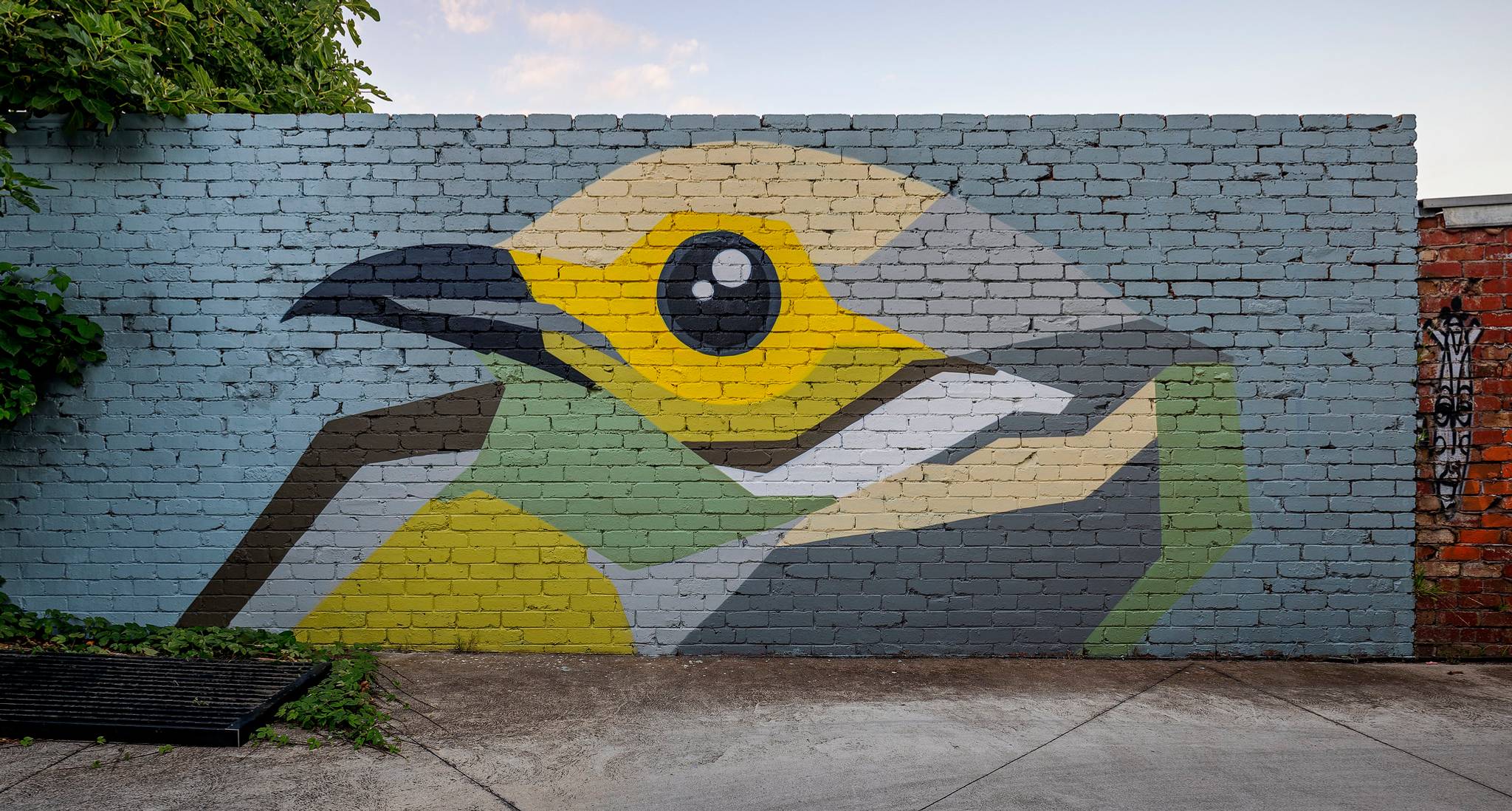 Sam Marshall&mdash;White-plumed Honeyeater