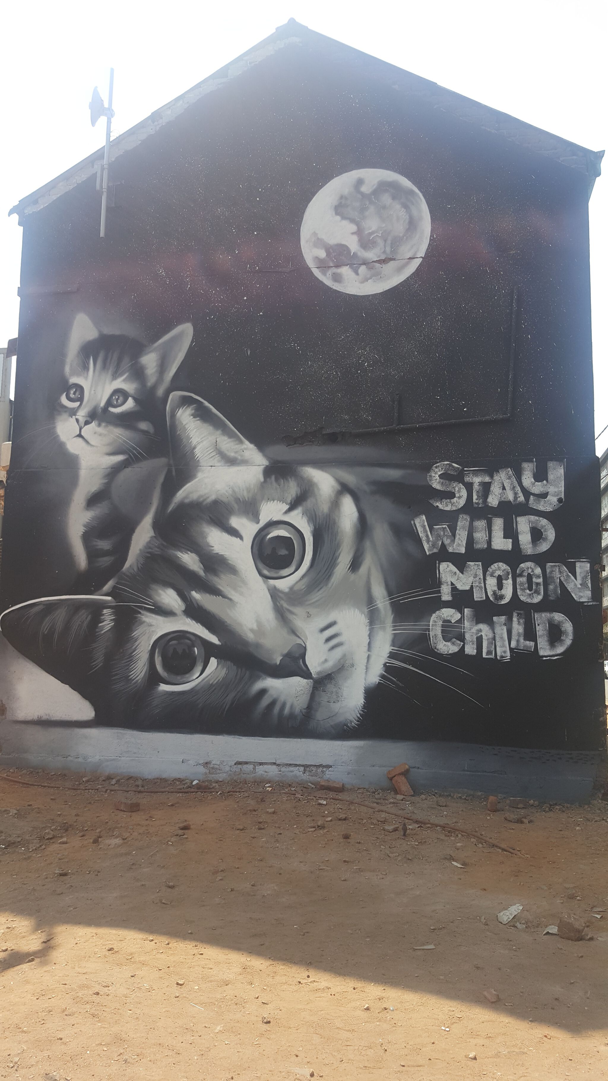 Unknown&mdash;Stay Wild Moon Child