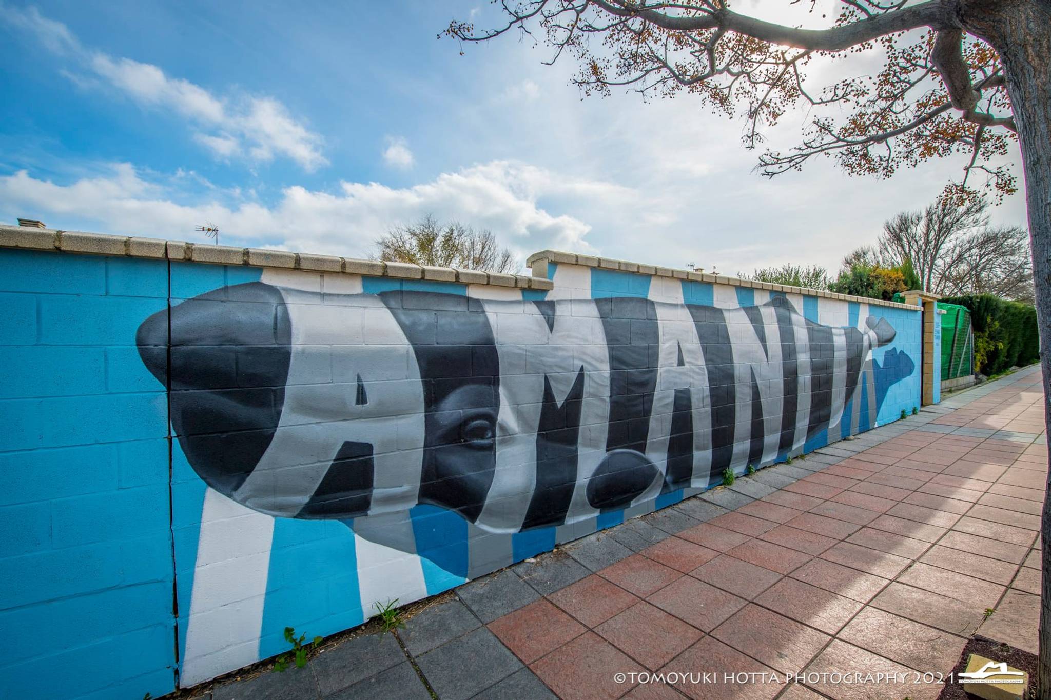 Einar Tuvakiya&mdash;Amanita Wall