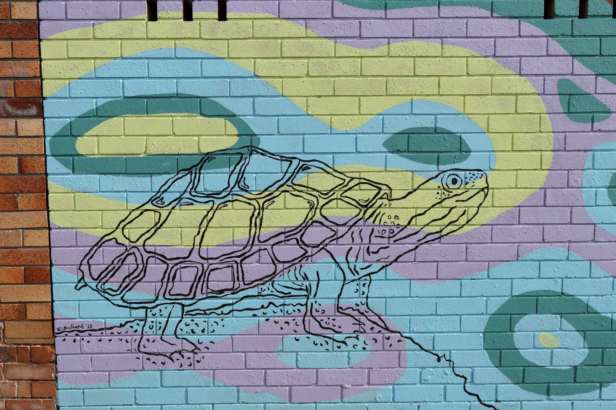 E.Rose Art&mdash;Manning River Turtles