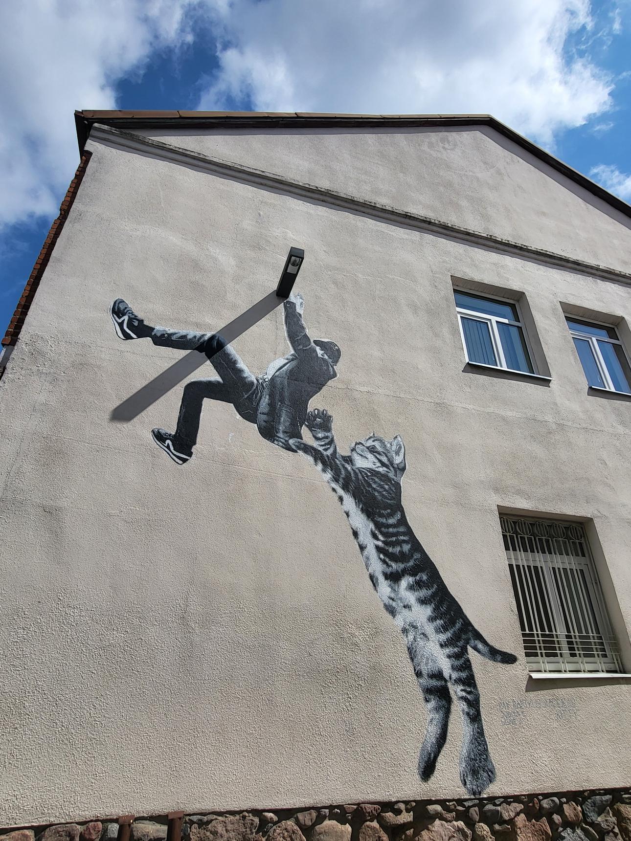 Ray Bartkus—Kitten