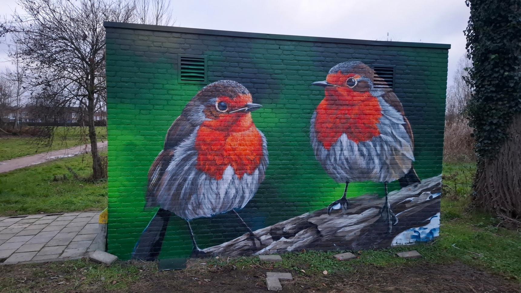 CAZN1—Robins