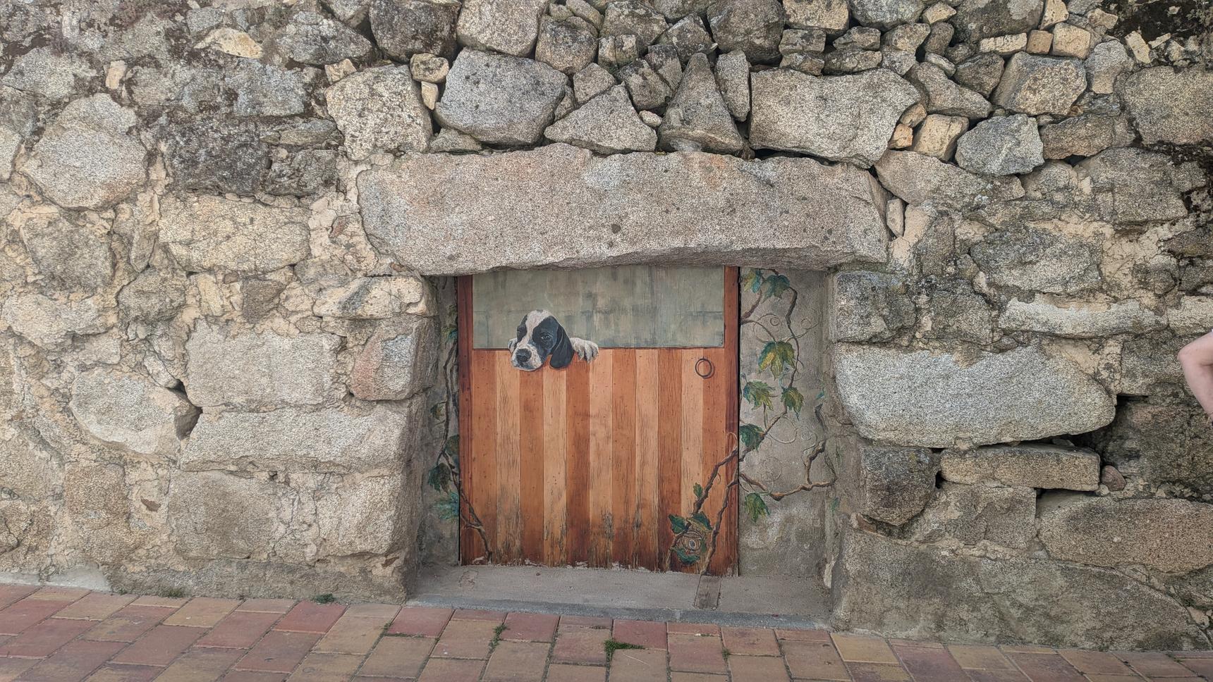 Elena Parlange—Casas vivas