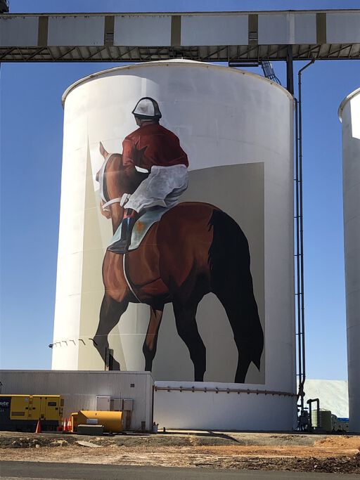 Pingrup Silo Art