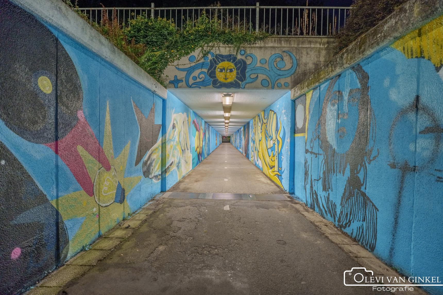 Zmaja, Marloes De Kiewit, Laxmi Manuela, Simian Switch, VAAF, Toscanabanana, Sokaris, Anouk Brand, Lucile Van Laecken, Rutger Termohlen, Sowet, Zark, Studio mutoni, Sasko, Kseniia Nel—Bospoorttunnel 'Wij eisen de nacht op'