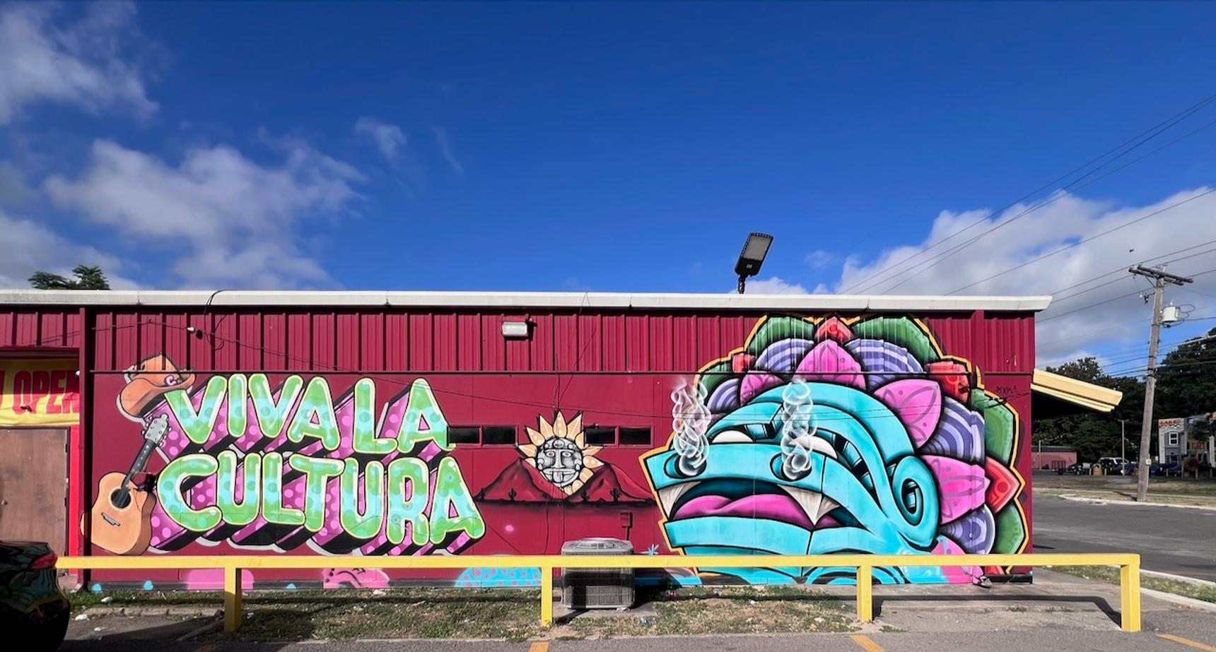Unknown - Austin—Viva La Cultura