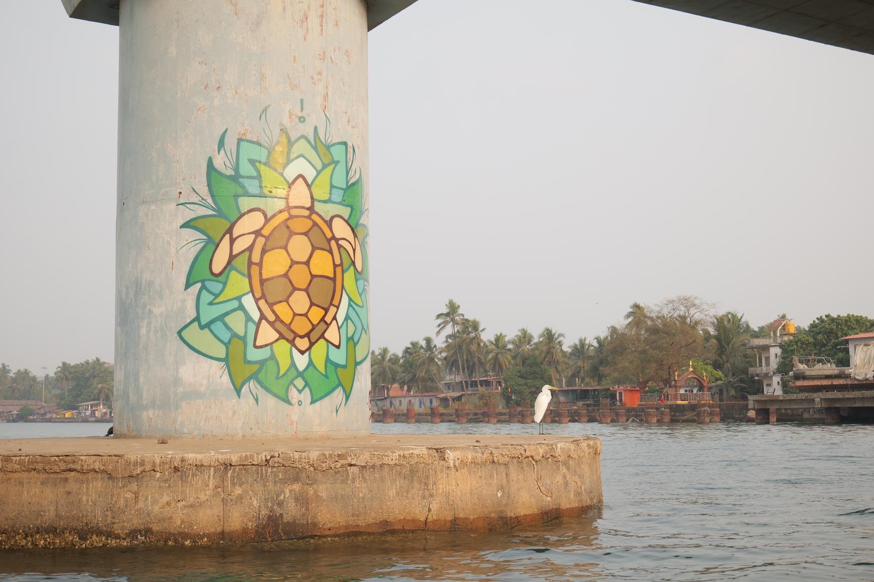 Wazow—Siolim Turtle