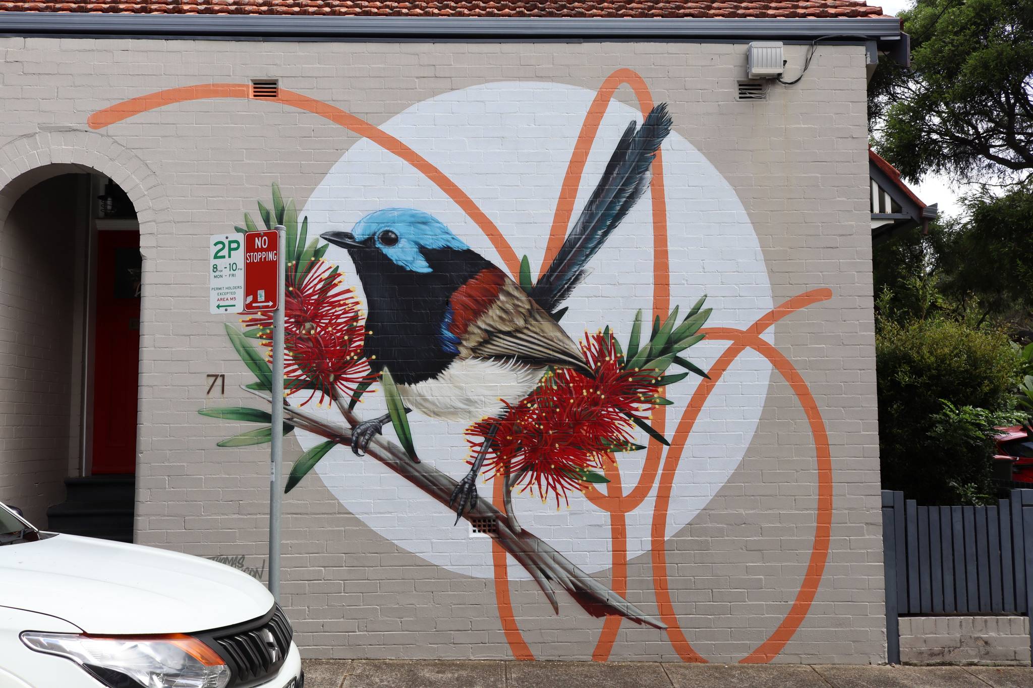 Thomas Jackson&mdash;Variegated Fairy Wren